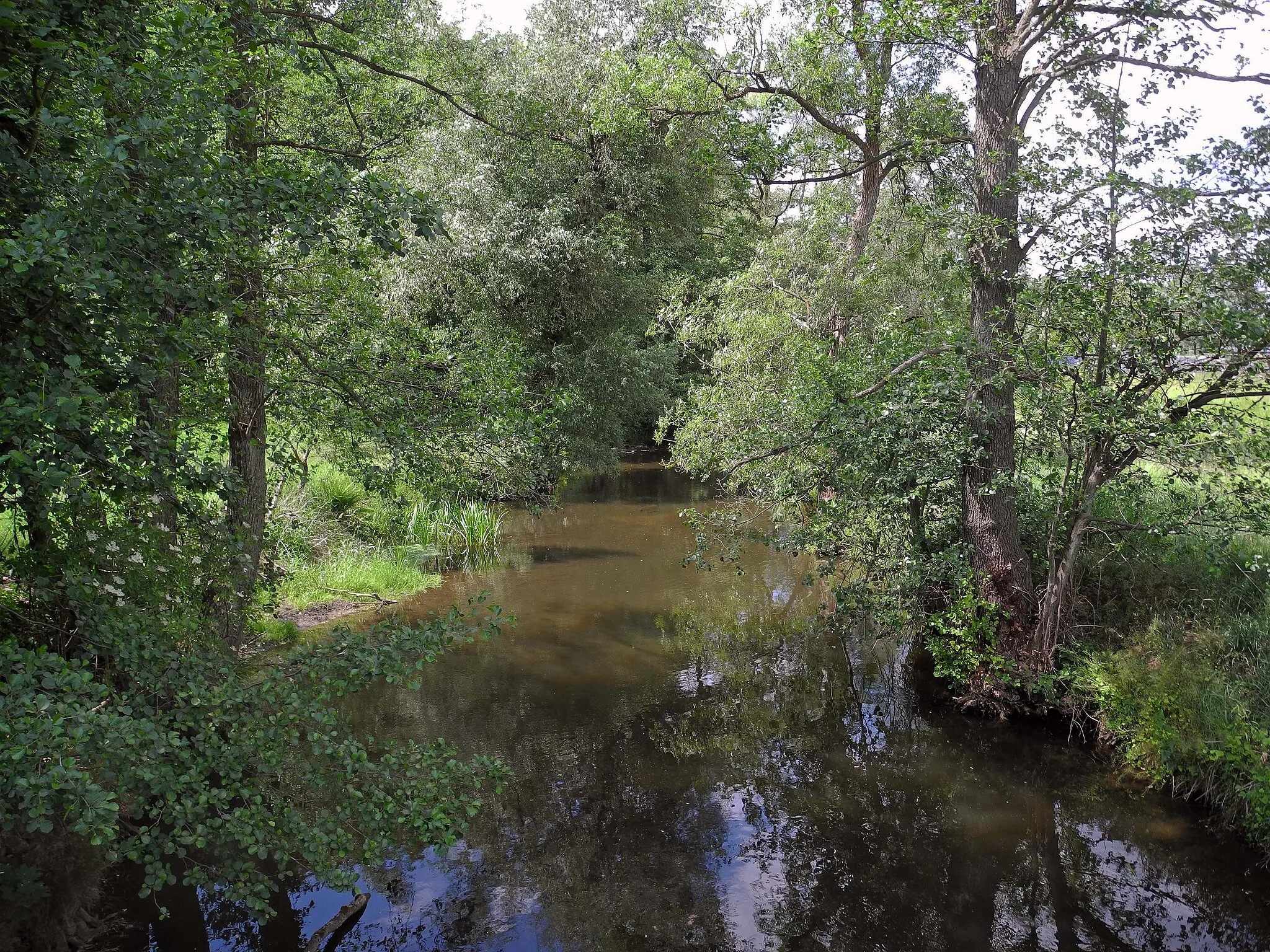 Photo showing: Die Große Röder in Lotzdorf, OT von Radeberg, An den Dreihäusern