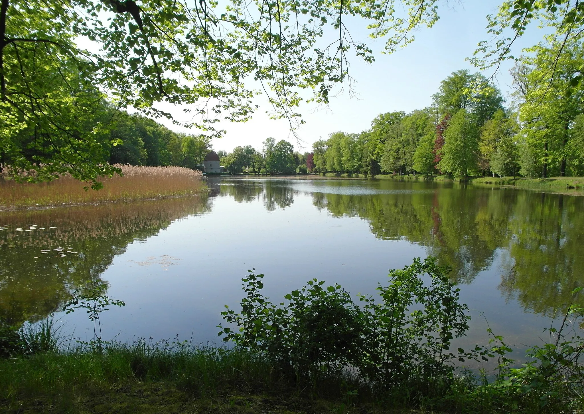 Photo showing: 04.05.2018  01458  Hermsdorf (Ottendorf-Okrilla), Schloßstraße: Wasserschloß Hermsdorf (GMP: 51.164413,13.819631). Vor seiner Ostseite ließ Adam Friedrich Graf von Flemming ab 1730 einen Barockgarten mit einer 
baumumstandenen Wasserachse, dem Schloßgraben (GMP: 51.163124,13.823377), anlegen, der von der Großen Röder gespeist wird. Die barocken Gartenquartiere zu beiden Seiten der Wasserachse wurden in der zweiten Hälfte des 18. Jahrhunderts in einen englischen Landschaftspark umgewandelt. Der Schloßteich (GMP: 51.164497,13.822330) begrenzt den Park im Norden. Blick nach Westen.                                                                                                                                                                                                 [SAM5885.JPG]20180504525DR.JPG(c)Blobelt