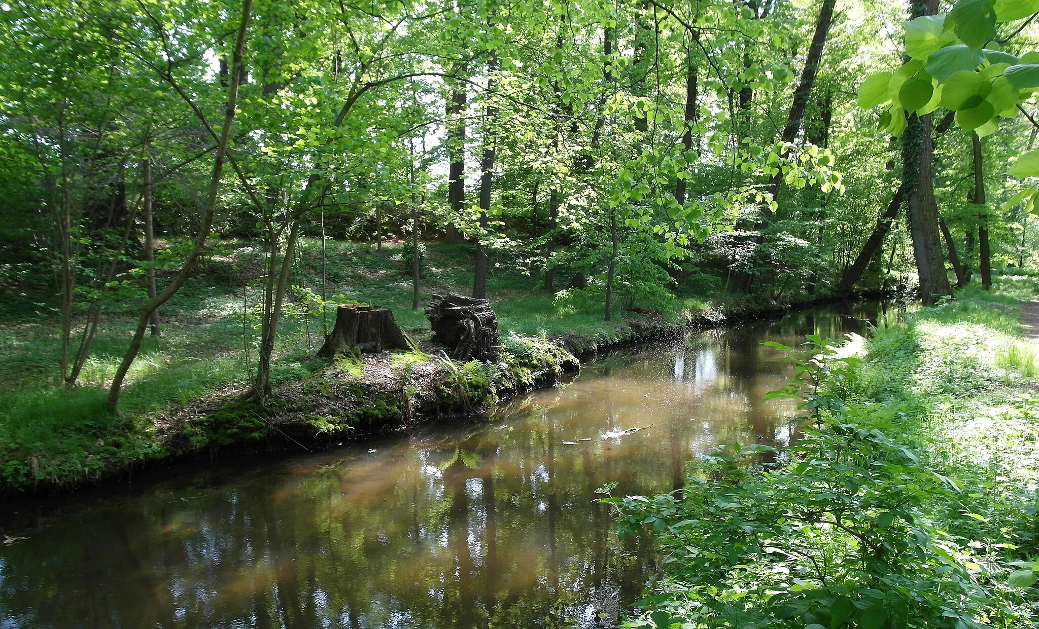 Photo showing: 04.05.2018  01458  Hermsdorf (Ottendorf-Okrilla), Schloßstraße: Wasserschloß Hermsdorf (GMP: 51.164413,13.819631). Vor seiner Ostseite ließ Adam Friedrich Graf von Flemming ab 1730 einen Barockgarten mit einer 
baumumstandenen Wasserachse, dem Schloßgraben (GMP: 51.163124,13.823377), anlegen, der von der Großen Röder gespeist wird. Die barocken Gartenquartiere zu beiden Seiten der Wasserachse wurden in der zweiten Hälfte des 18. Jahrhunderts in einen englischen Landschaftspark umgewandelt.                                                                                                                                                        [SAM5874.JPG]20180504500DR.JPG(c)Blobelt