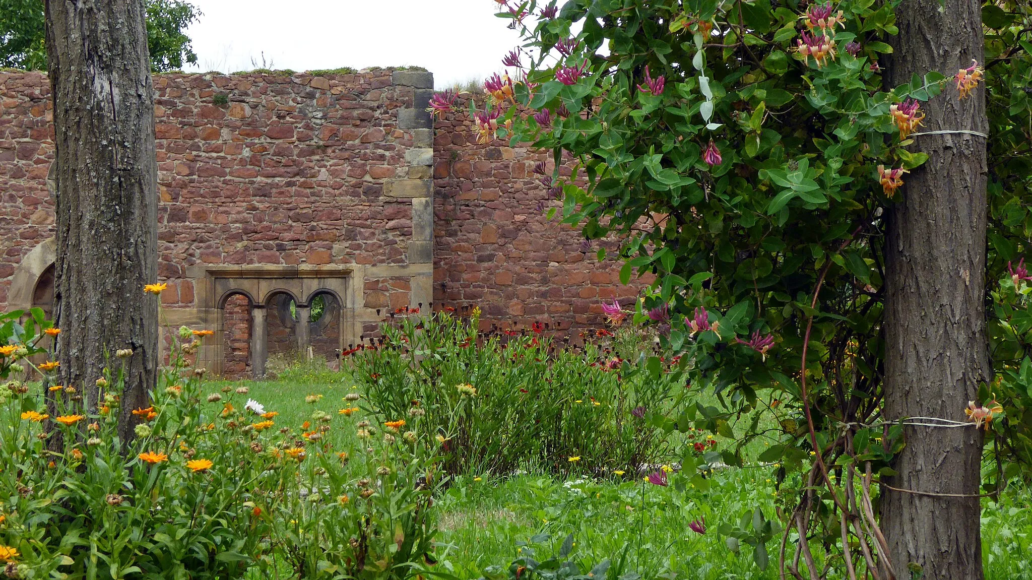 Photo showing: Das Meißner Hahnemannzentrum hat sich zum Ziel gesetzt, die Ruinen des Klosters so zu sanieren, dass sich die Besucher in der Anlage mit ihren verschiedenen Gartenräumen wohlfühlen können.
