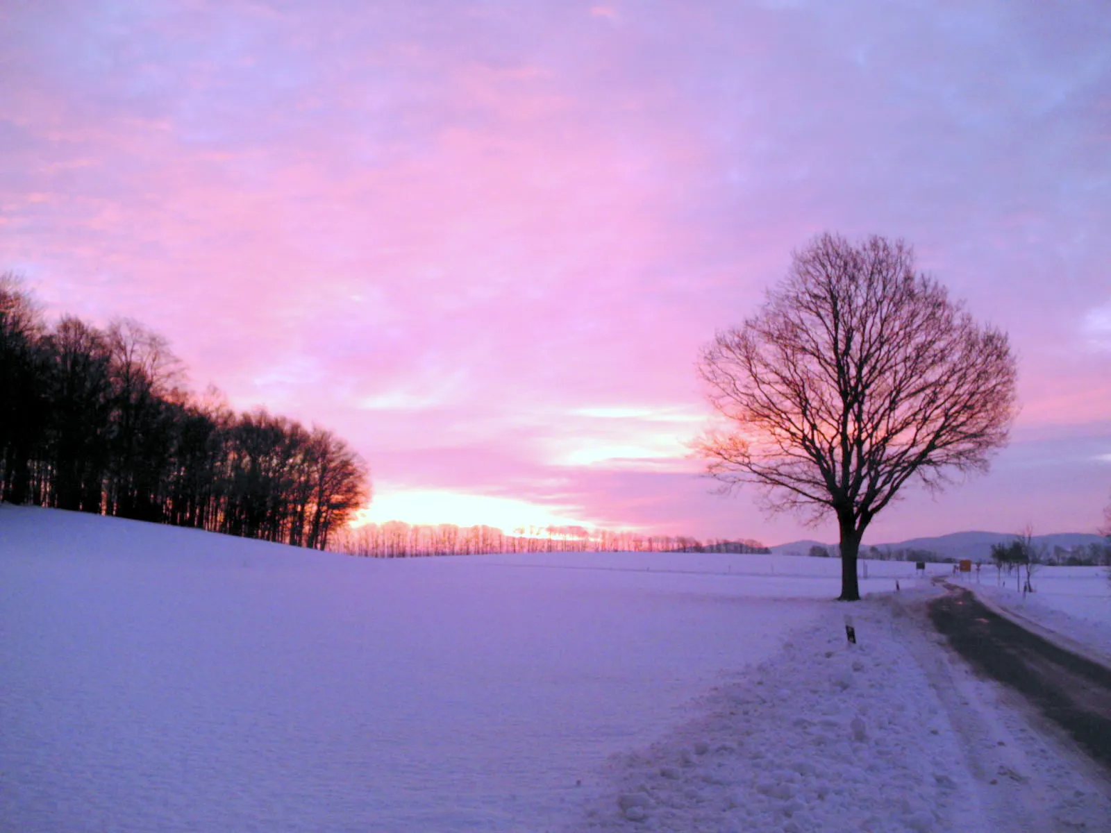 Photo showing: Wintermorgen bei Bautzen (zwischen Großwelka und Salzenforst)