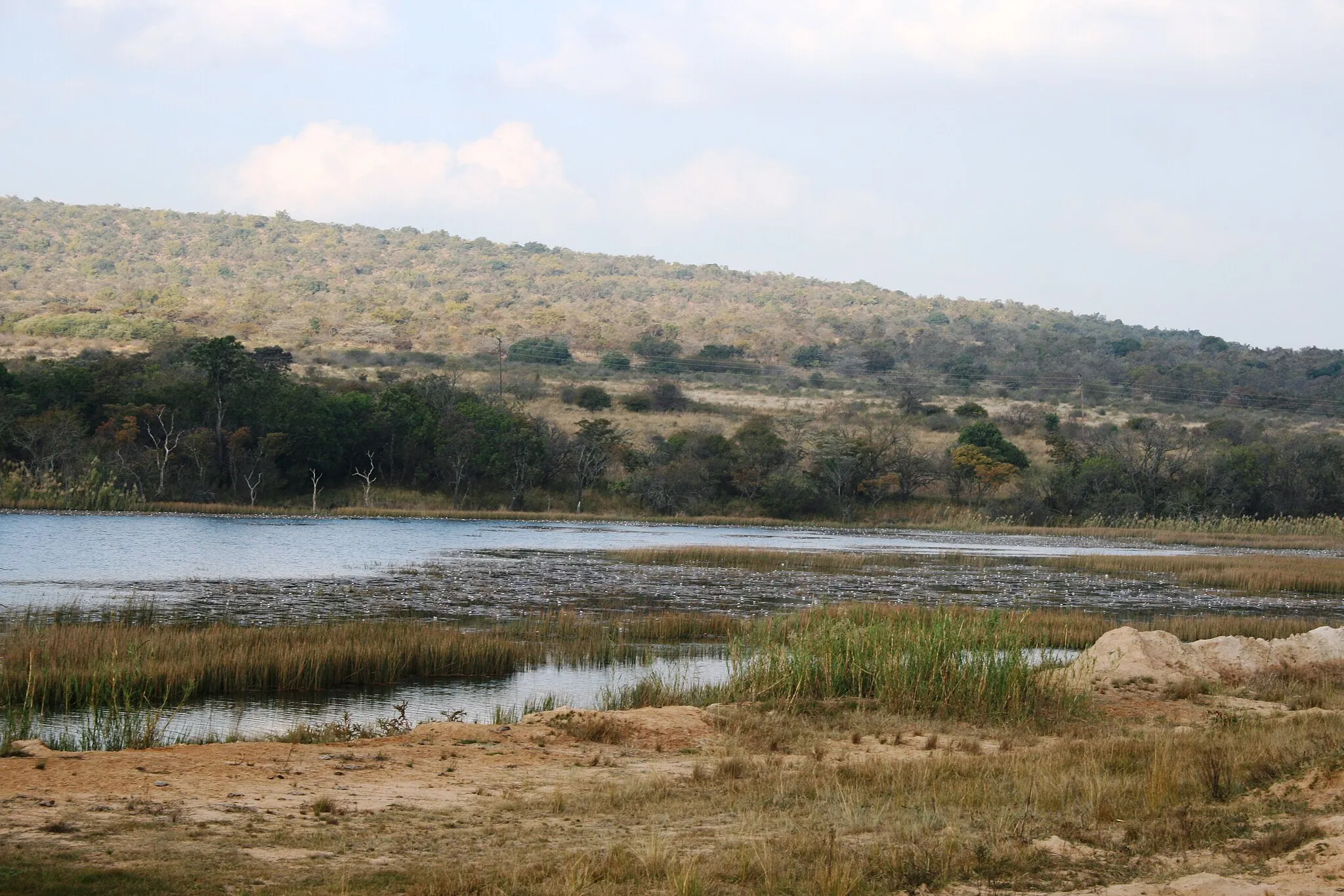 Photo showing: Dam in the Jonkmansdrif Spruit, Waterberg plateau, South Africa, 24 10 20 S 28 31 35 E