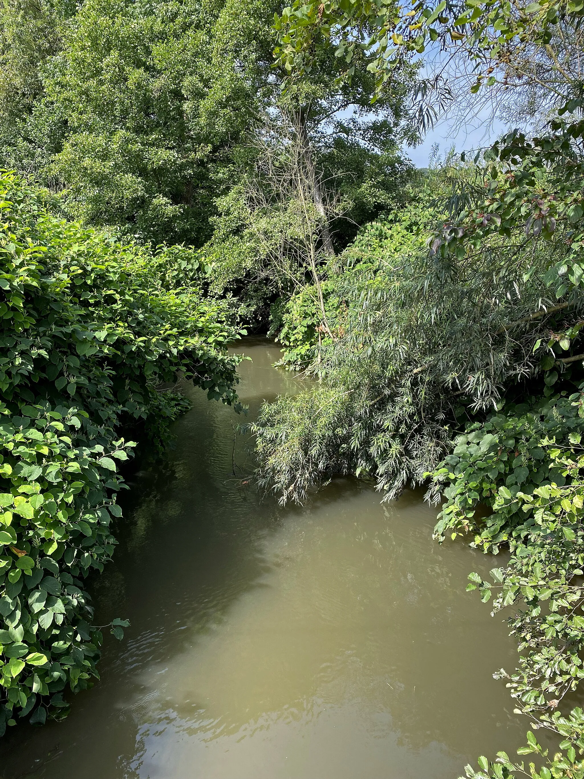 Photo showing: Düssel im Naturschutzgebiet Düsselaue bei Gödinghoven