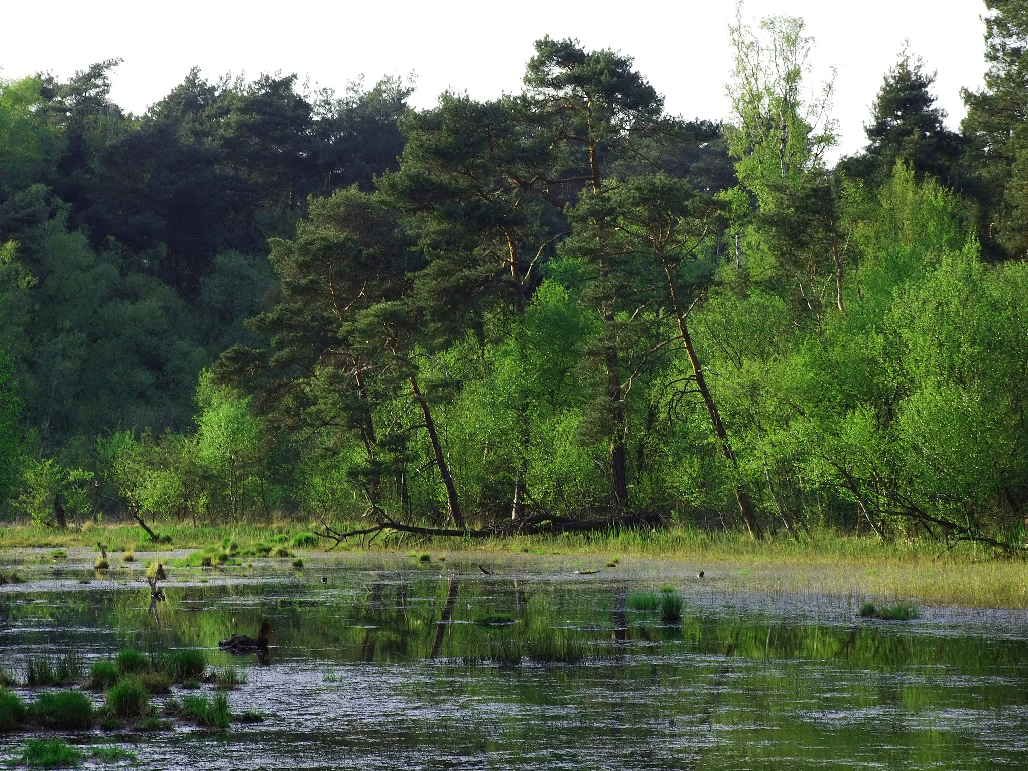 Photo showing: This is a picture of the protected area listed at WDPA under the ID