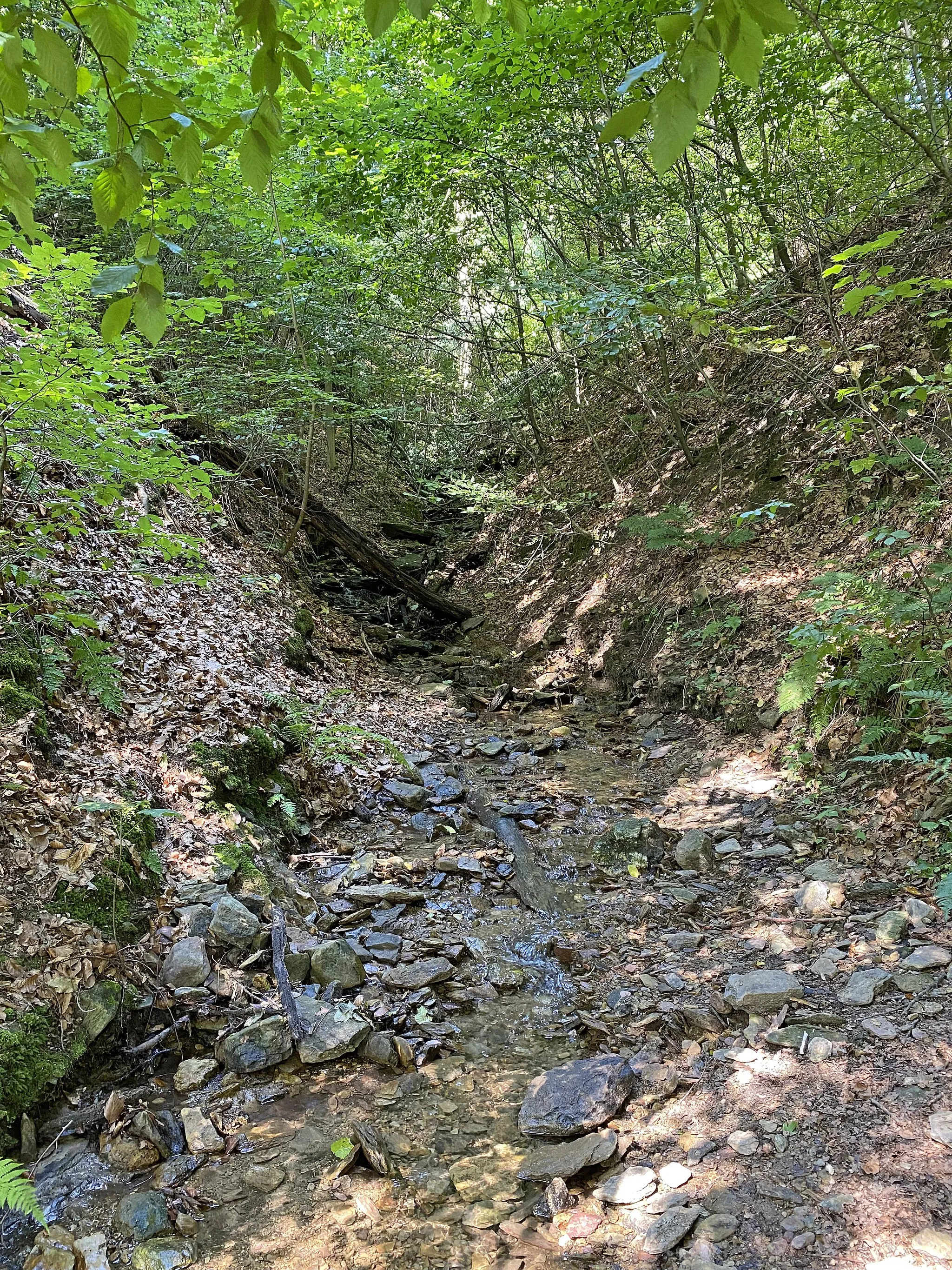 Photo showing: Kaltentaler Bach mündet in die Wupper  zwischen Obenrüdener Kotten und Wupperhof