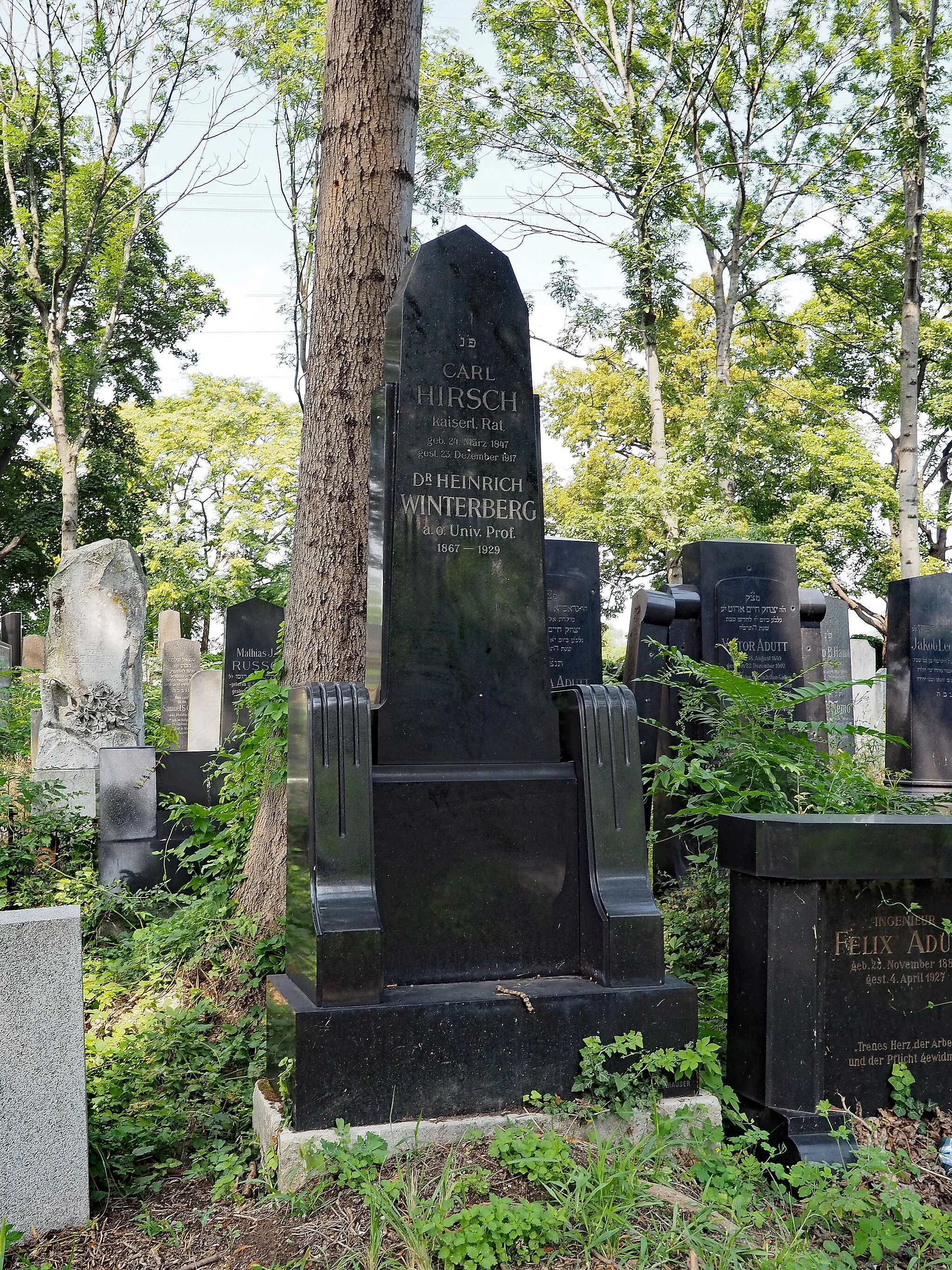 Photo showing: Grave of the cardiologist, pathologist and university professor Heinrich Winterberg (1867, Liberec–1929, Vienna) and of his father-in-law Carl Hirsch (1847–1917) in the Old Jewish Part of the Vienna Central Cemetery (52a/1/35)
