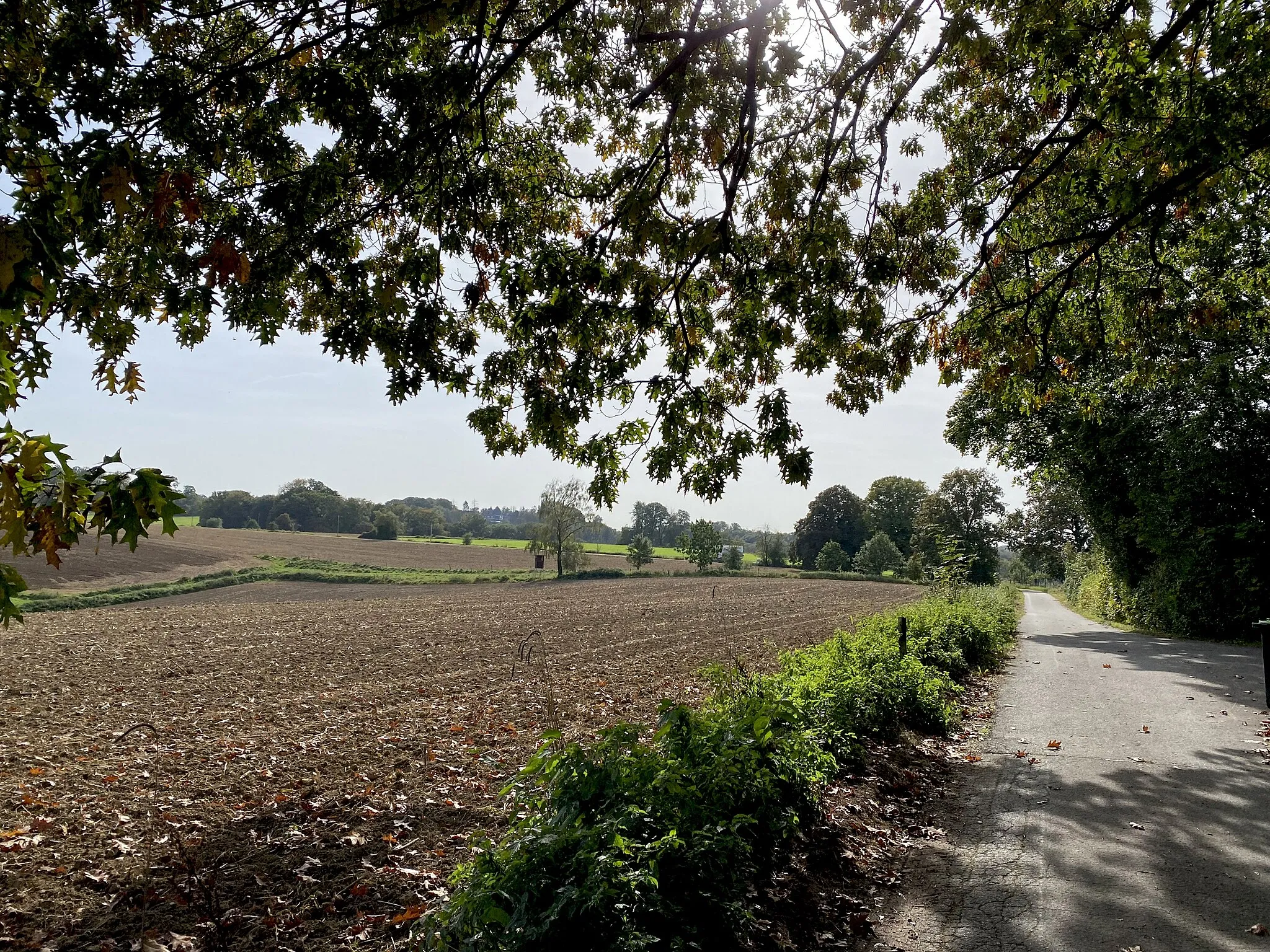 Photo showing: Landschaftskulisse bei Großgrimberg - Blick vom Groß Grimberger Weg Richtung Hüttchen