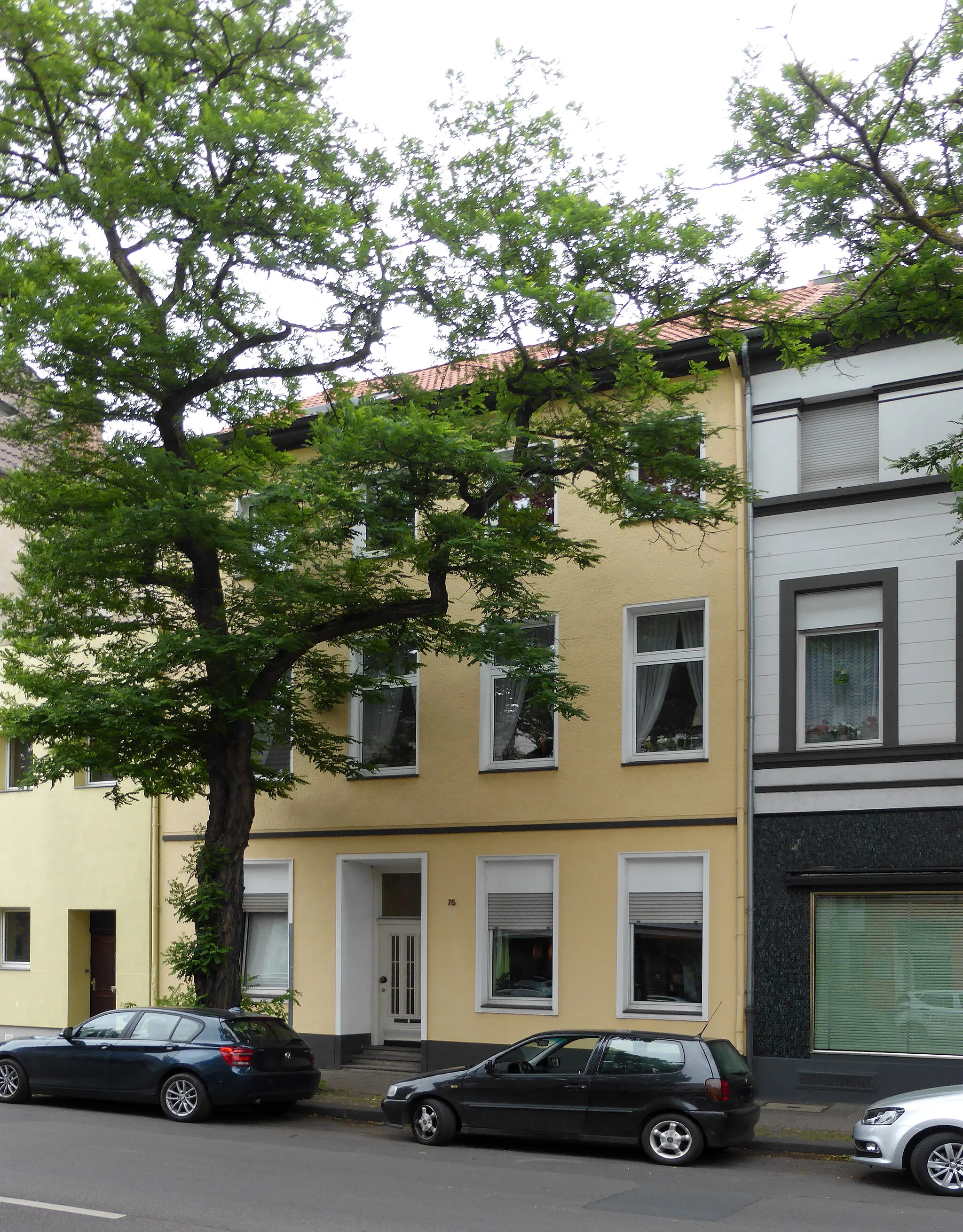 Photo showing: Stolperstein: Wohnhaus Nordwall 75, Krefeld.