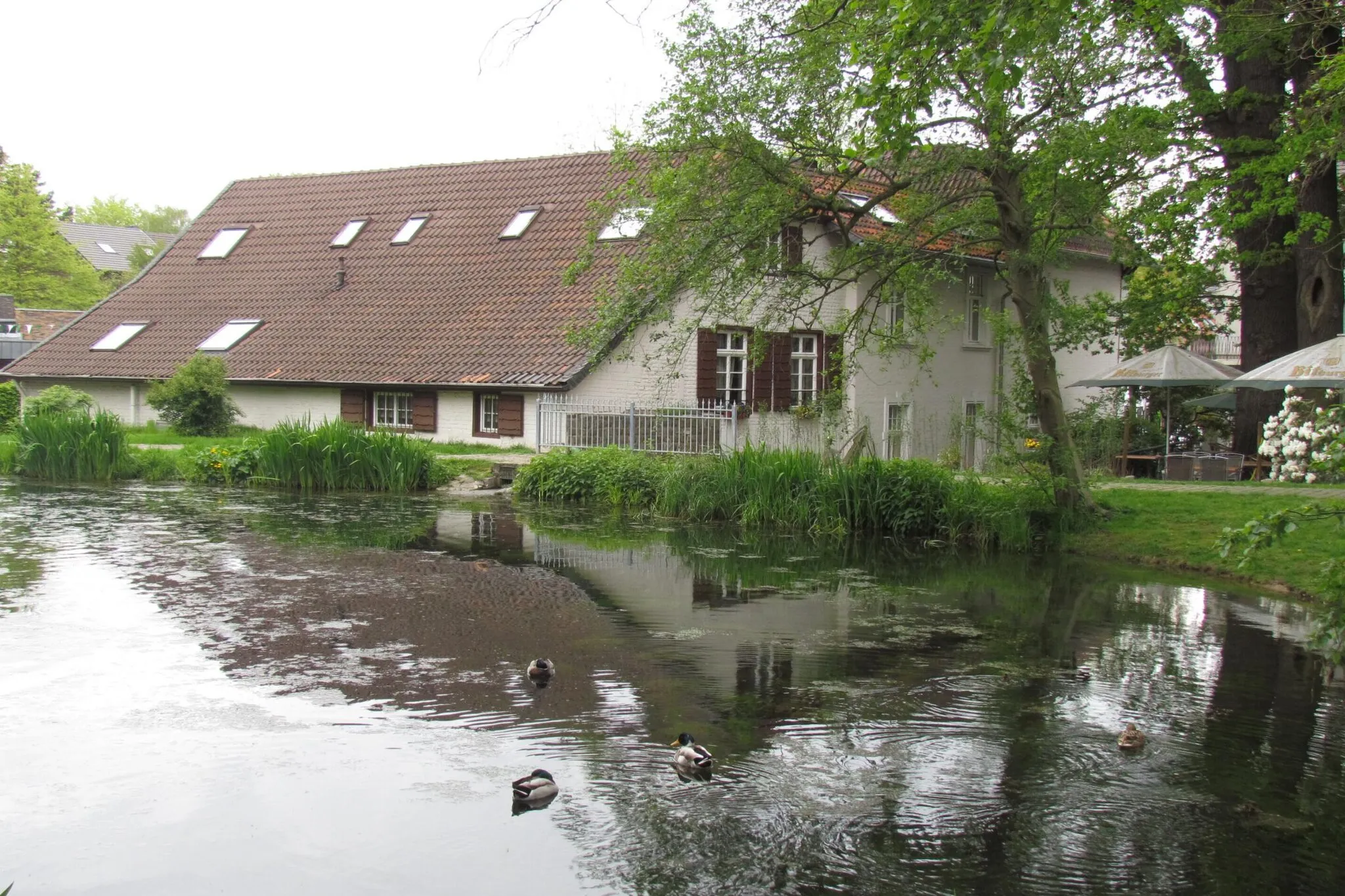 Photo showing: Mühlenweiher als Wasserspeicher