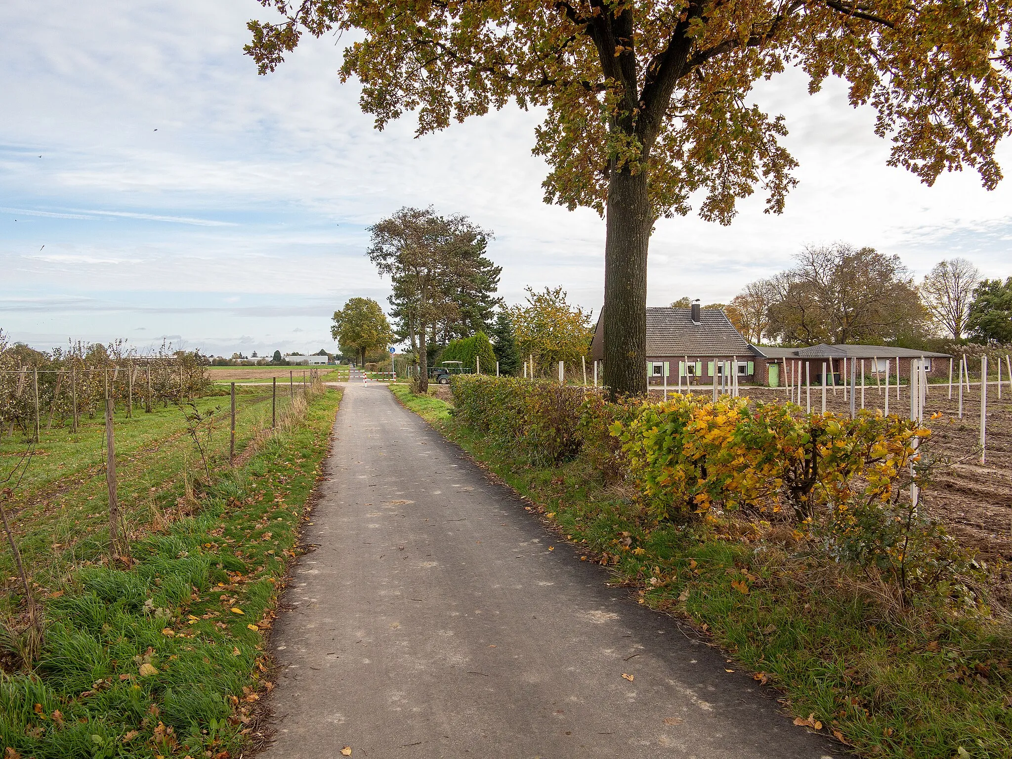 Photo showing: Radweg Schlufftrasse: Nähe Huverheide