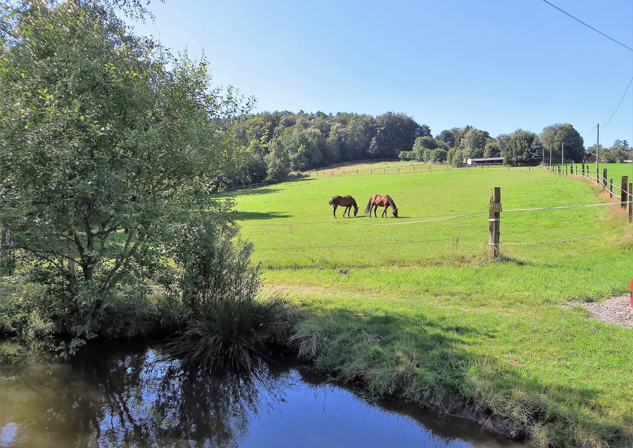 Photo showing: Landschaftsschutzgebiet „Schee“ in Sprockhövel-Gennebreck. Das Foto zeigt den nordwestlichen Bereich, zwischen „Großer Siepen“ (Fischteiche) und dem Waldgebiet Hilgenpütt (oberhalb der Pferdekoppel).