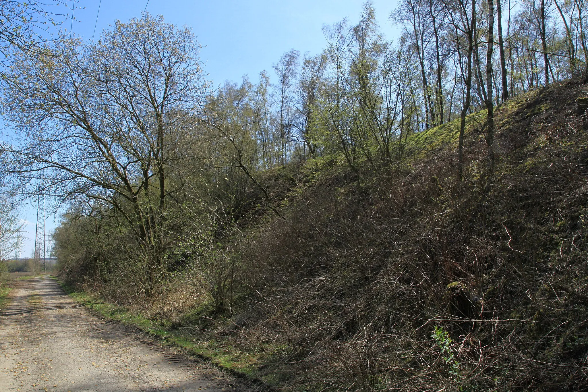 Photo showing: Halde Rheinbaben in Gladbeck an der Industriestraße in Bottrop