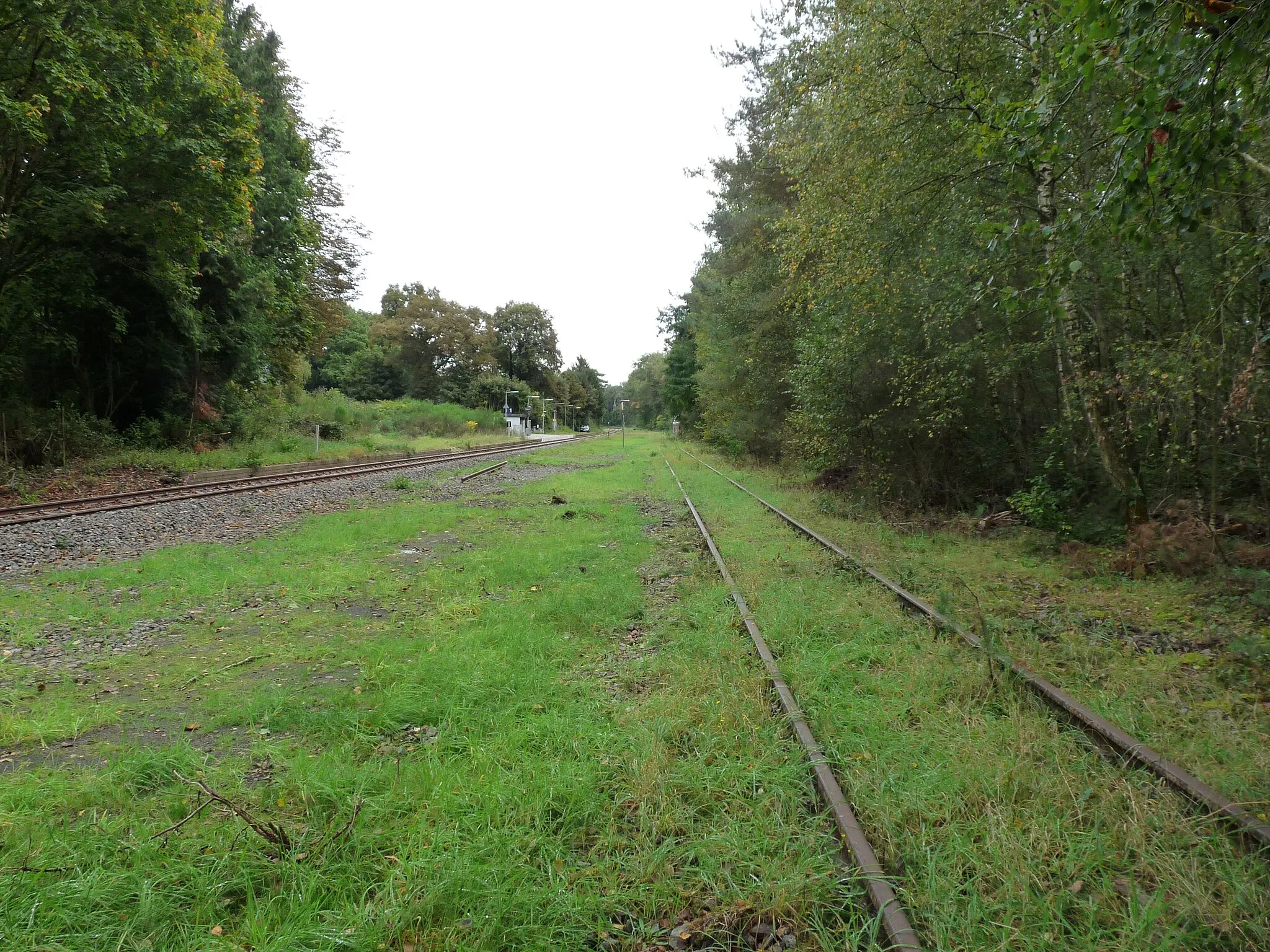 Photo showing: Station Dalheim in 2021