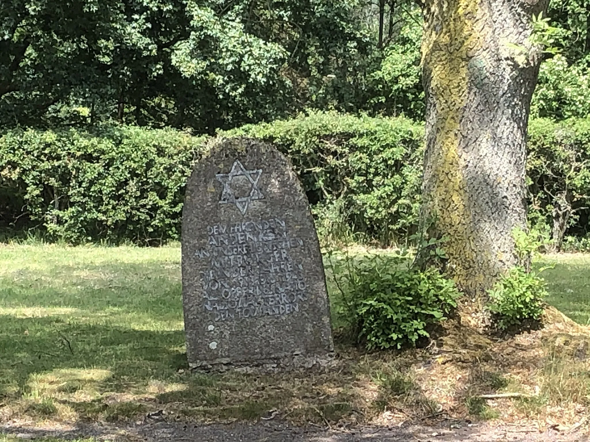 Photo showing: Jüdischer Friedhof in Winterswick; Blick vom Eingangstor auf das Mahnmal