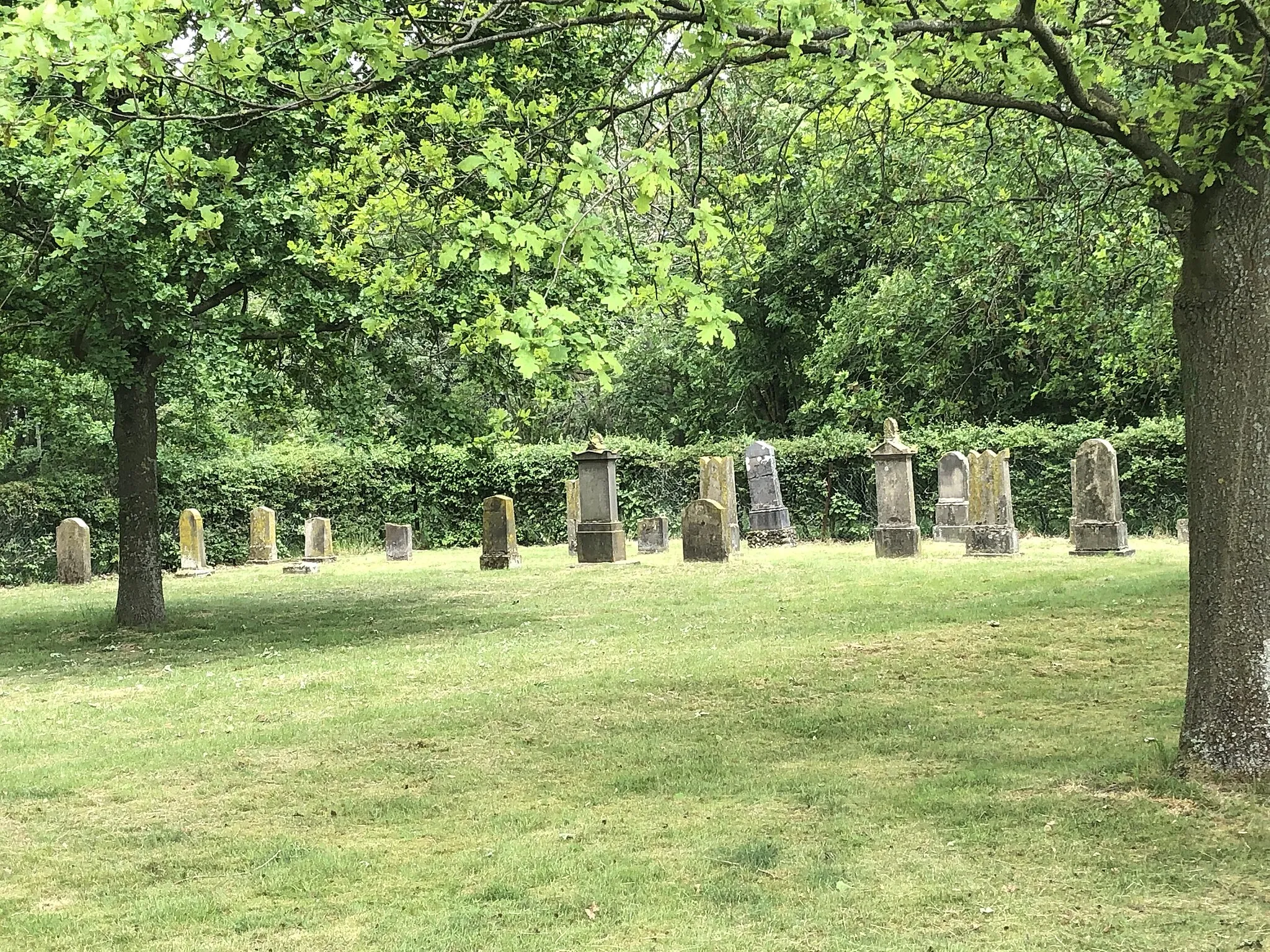 Photo showing: Jüdischer Friedhof in Winterswick; Blick vom Eingangstor Richtung Osten