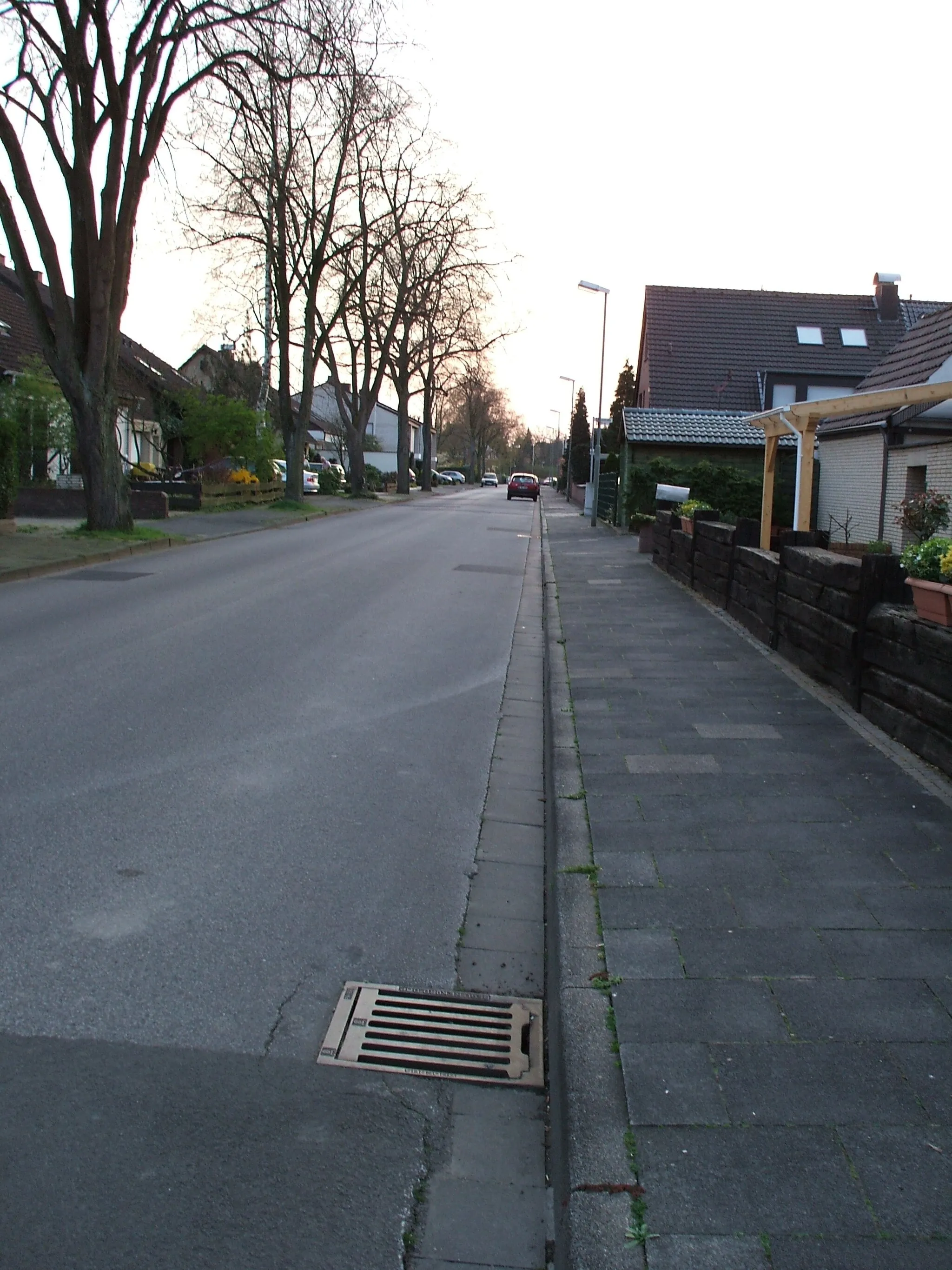 Photo showing: Lindenstraße in Rosellerheide