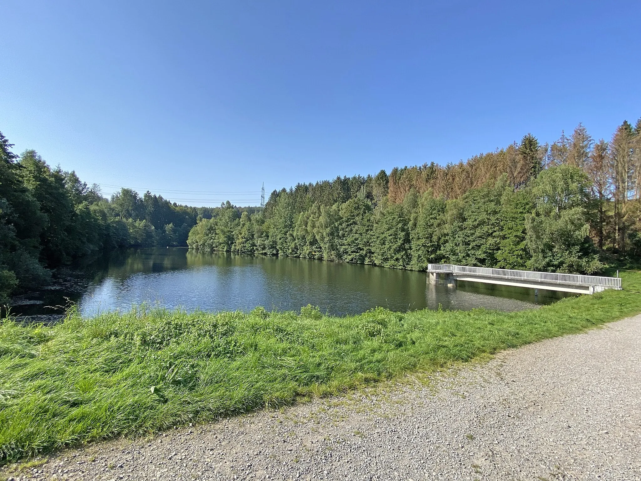 Photo showing: Feldbach-Vorsperre mit Damm zur Wuppertalsperre