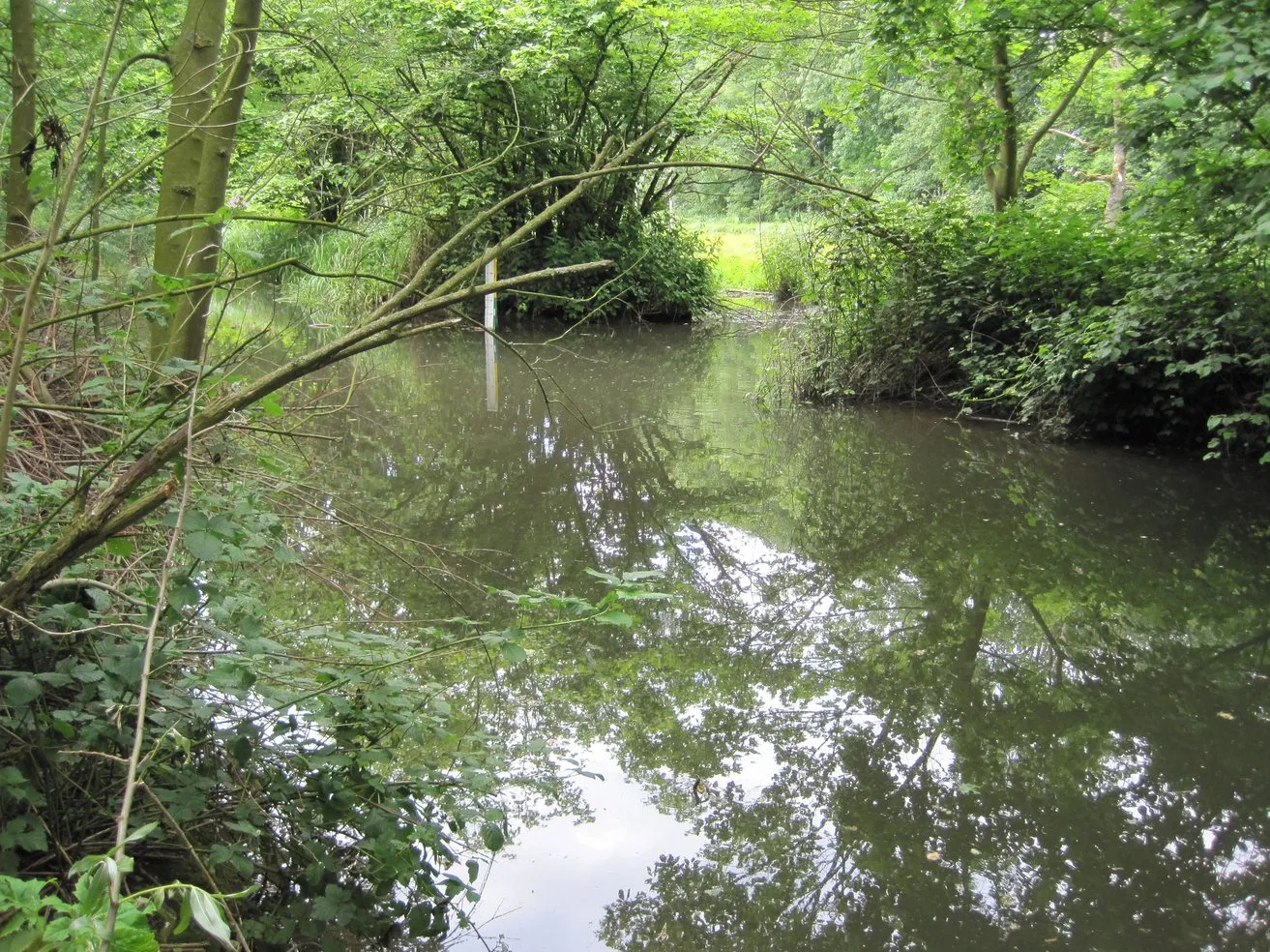 Photo showing: Große Laache bei Pulheim, Naturschutzgebiet „Orrer Wald und Große Laache“