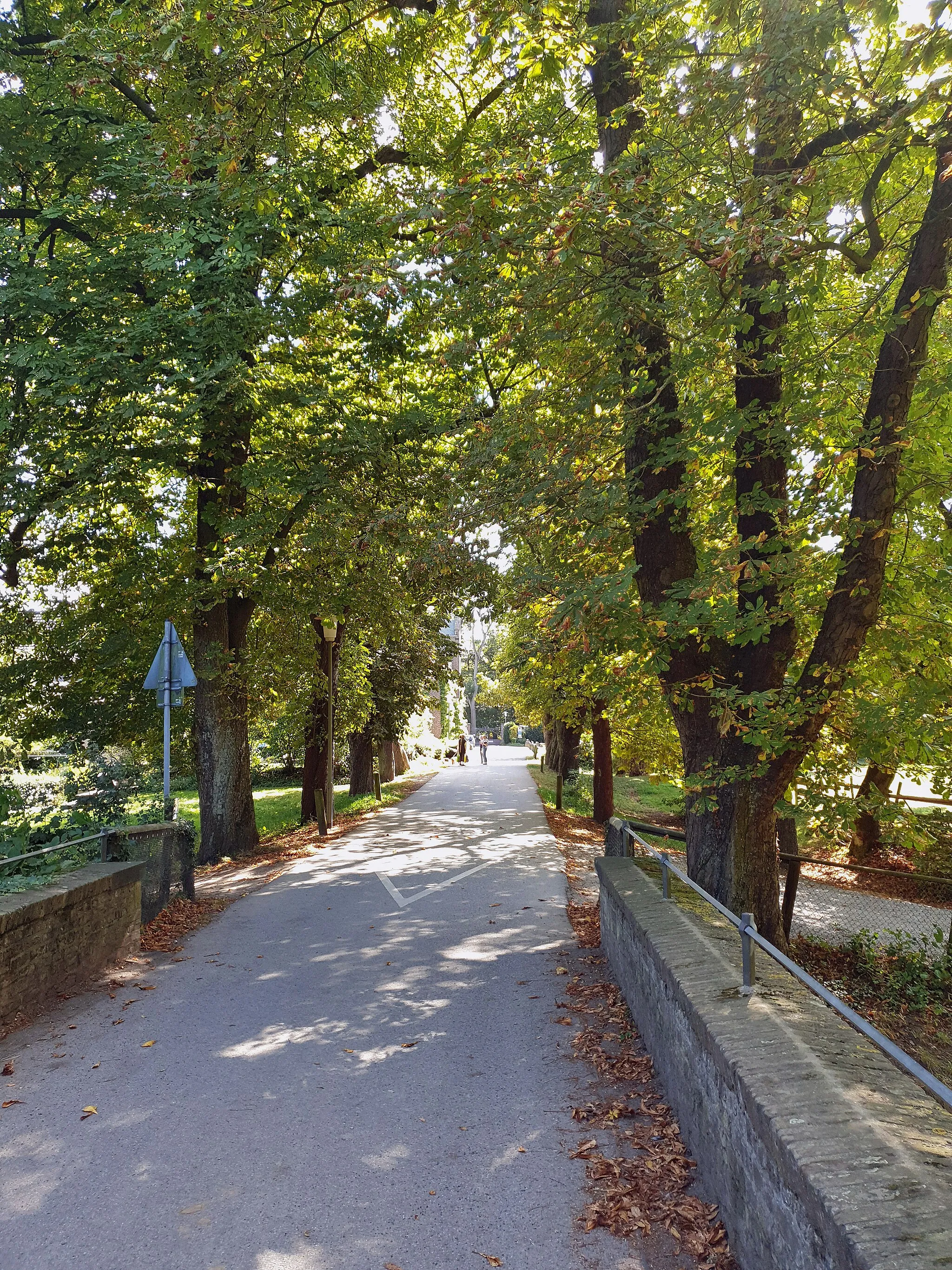 Photo showing: Kastanienallee zum Schloß Reuschenberg