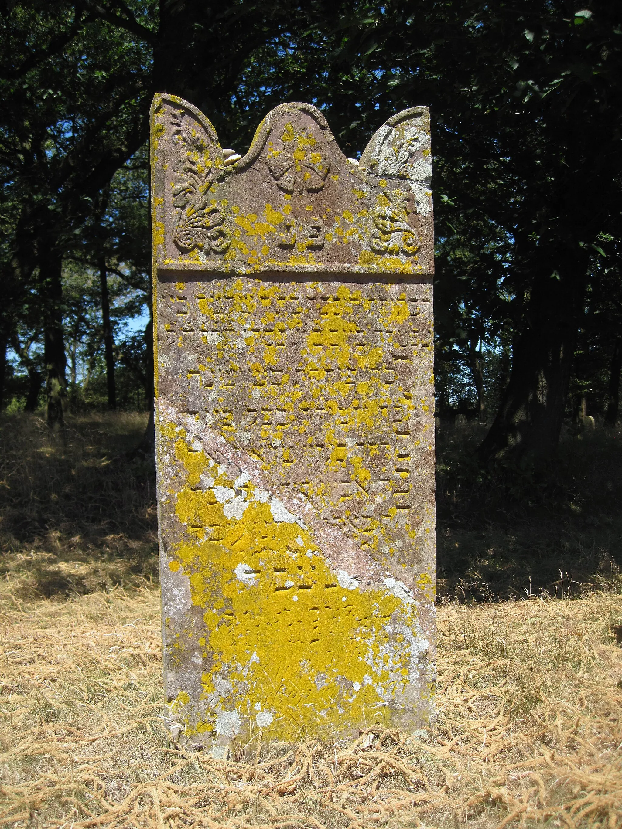 Photo showing: Jüdischer Friedhof in Xanten