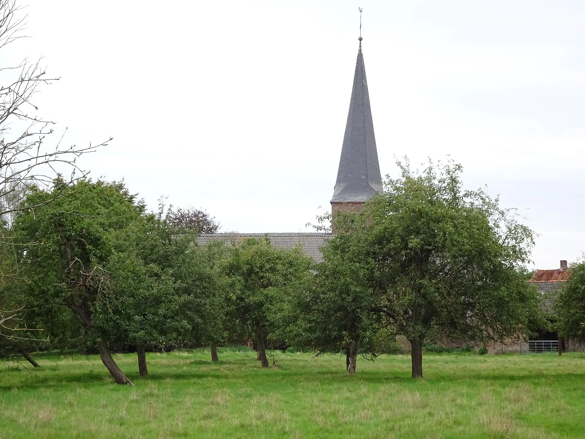 Photo showing: Kalkar-Hanselaer, boomgaard Spickstraße 81 en kerktoren St. Antonius gezien vanaf de Driwtstraße, hoek Leuthweg