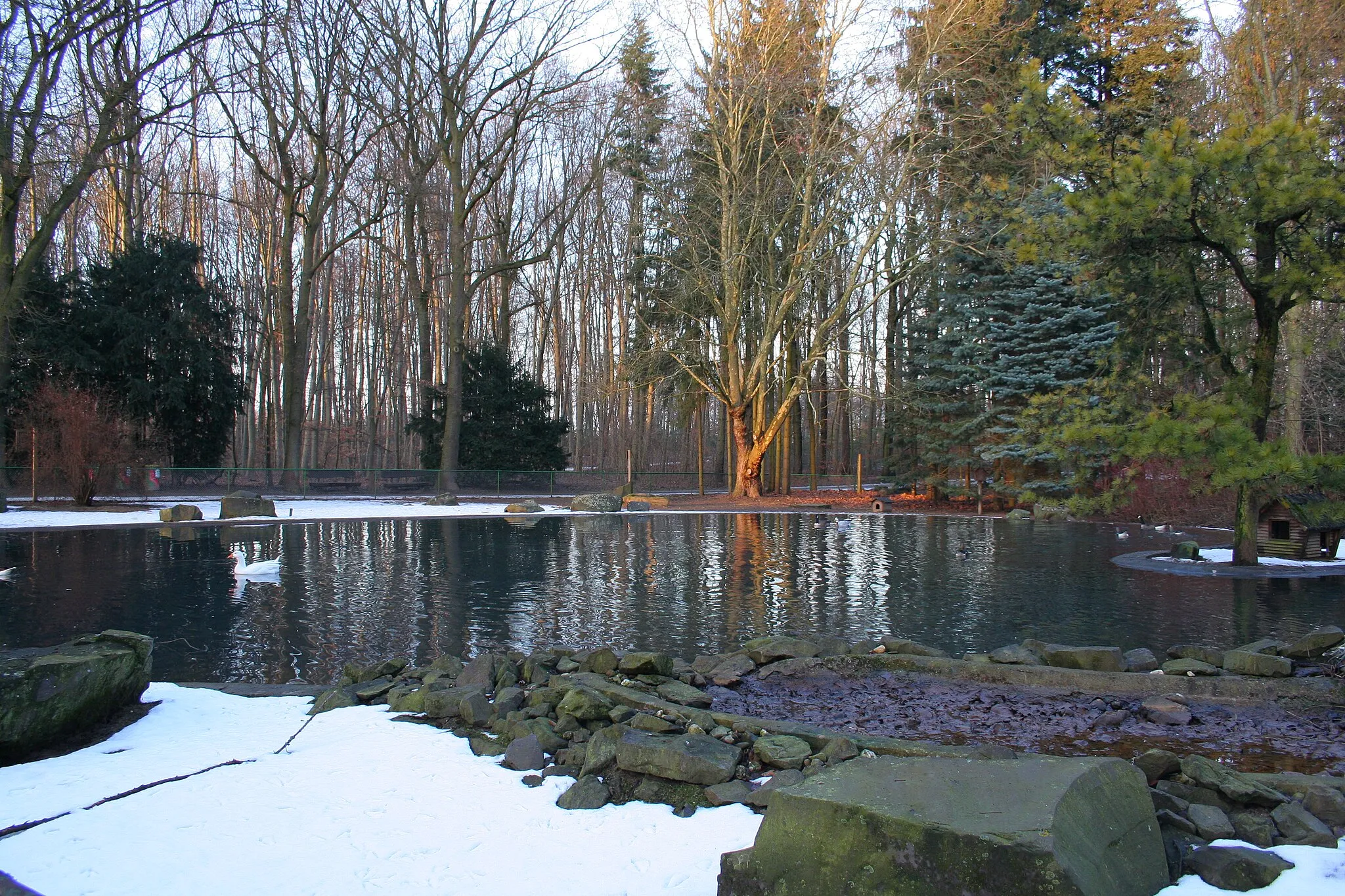 Photo showing: Wildpark Tannenbusch bei Dormagen. Wasserteich.