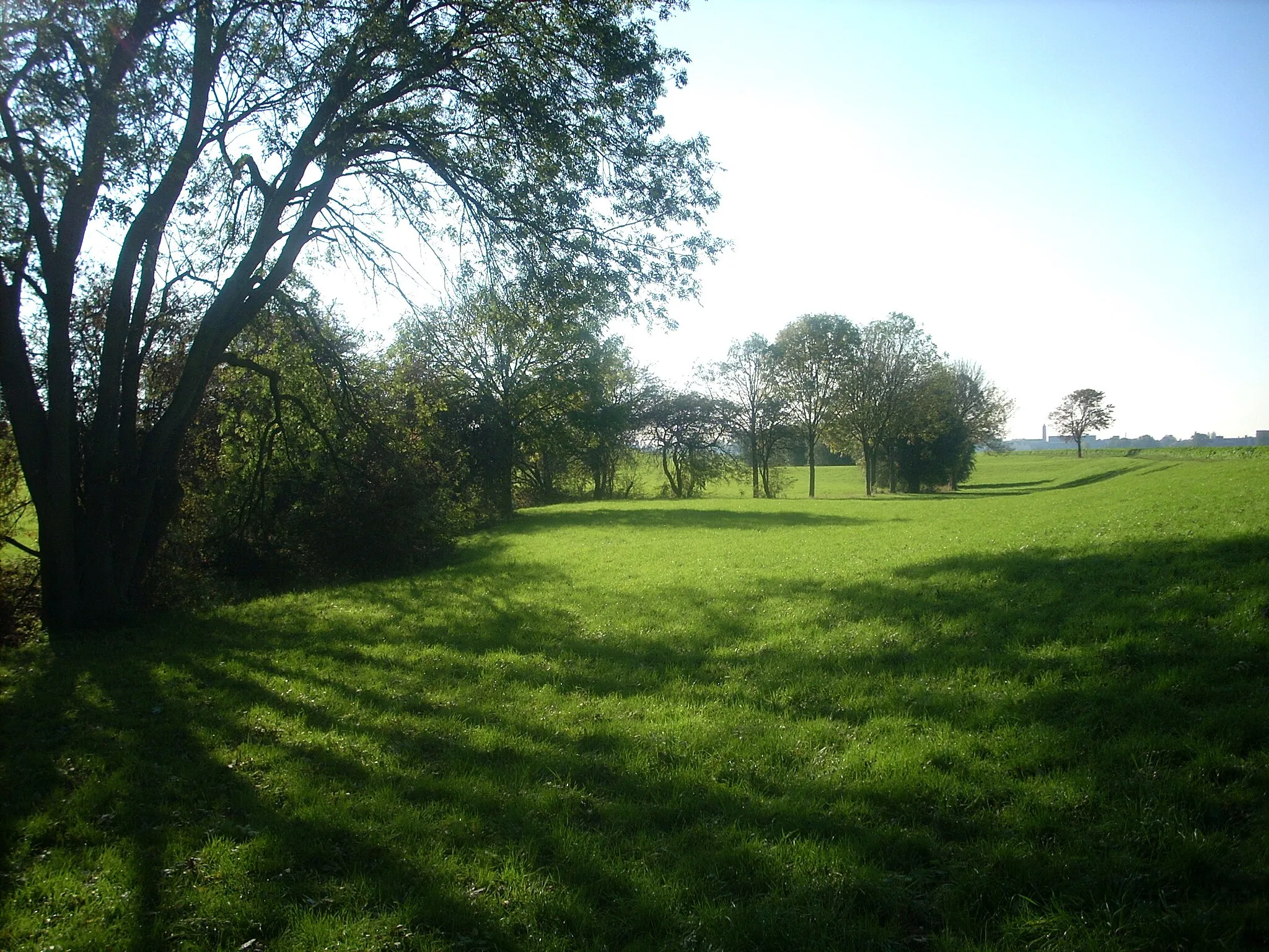 Photo showing: Der Drapgraben in den Rheinauen von Duisburg-Mündelheim