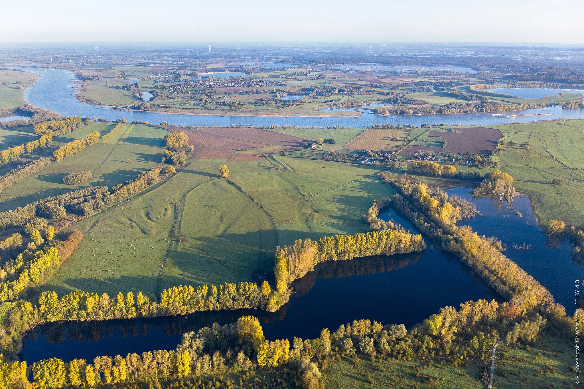 Photo showing: Das 10 km² große Naturschutzgebiet ist eine der wenigen in Deutschland verbliebenen Auelandschaften. Im Hintergrund Wasserstraße Rhein.