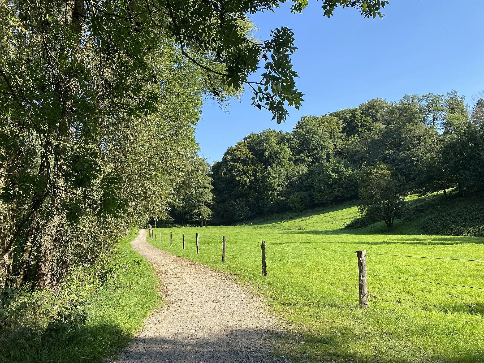 Photo showing: Pferdeweide nahe Gut Großeforst im Naturschutzgebiet Pillebachtal, Dernkamp und Gallberg