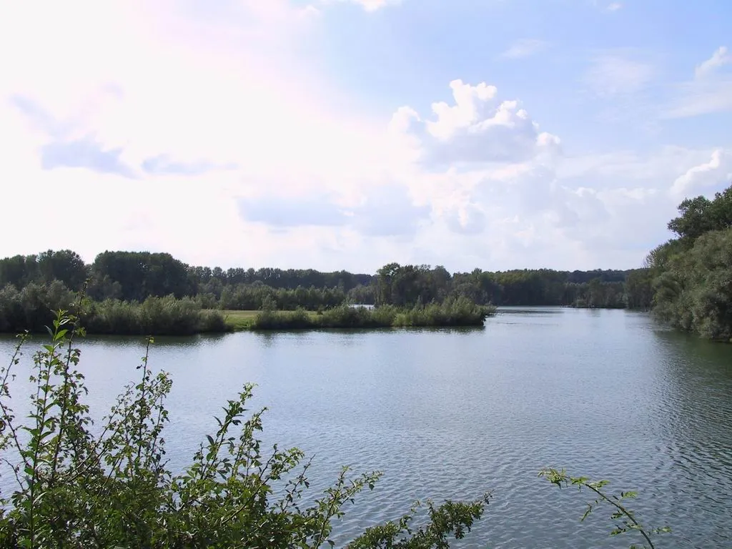 Photo showing: "Bislicher Insel" nature reserve with an old creek of the Rhine
