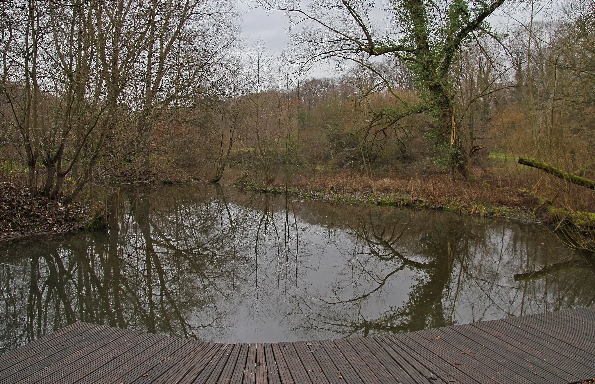 Photo showing: NaturGut Ophoven. Kleiner Waldteich.