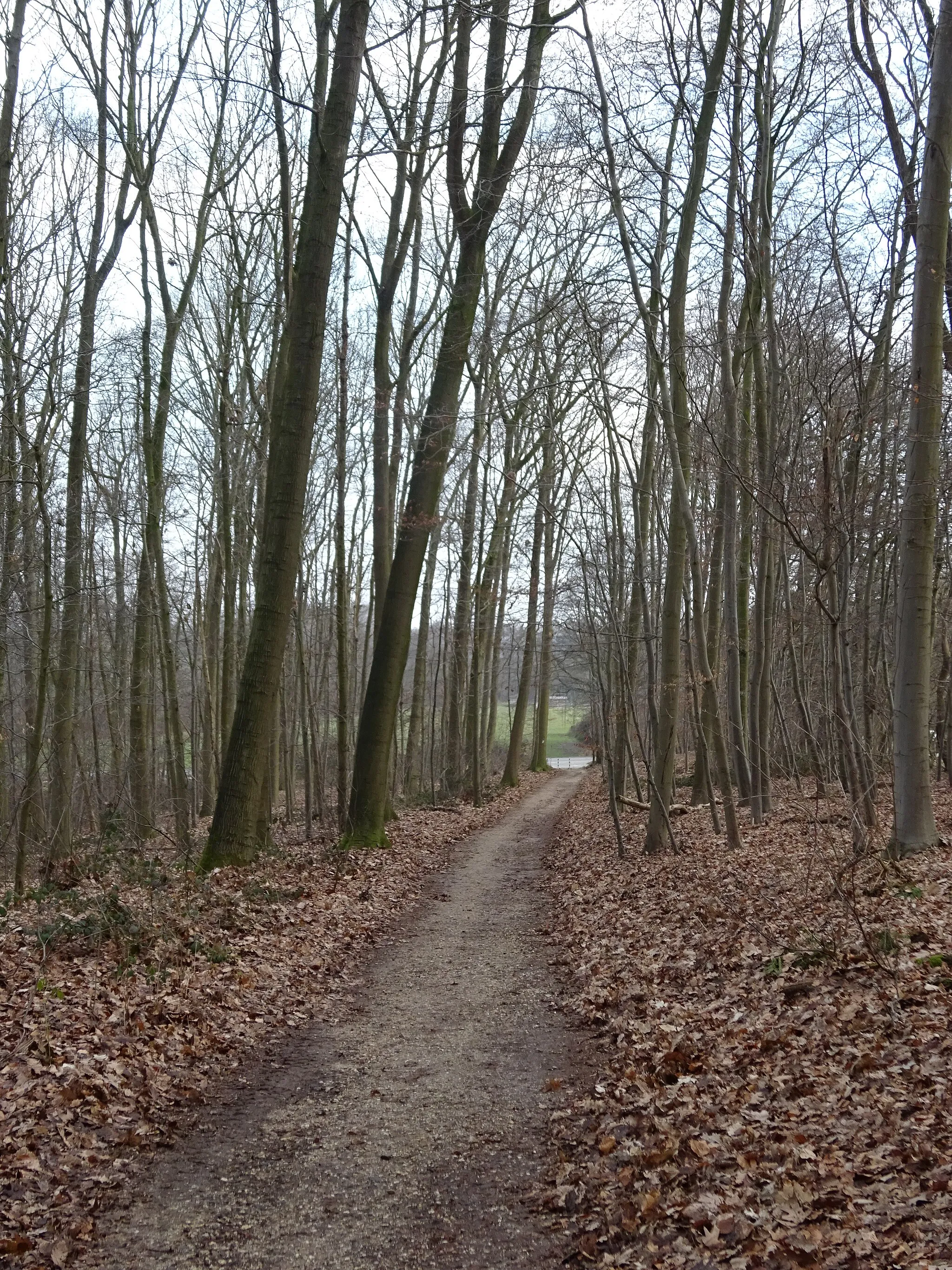 Photo showing: Wandelpad op de Papenberg in Bedburg-Hau