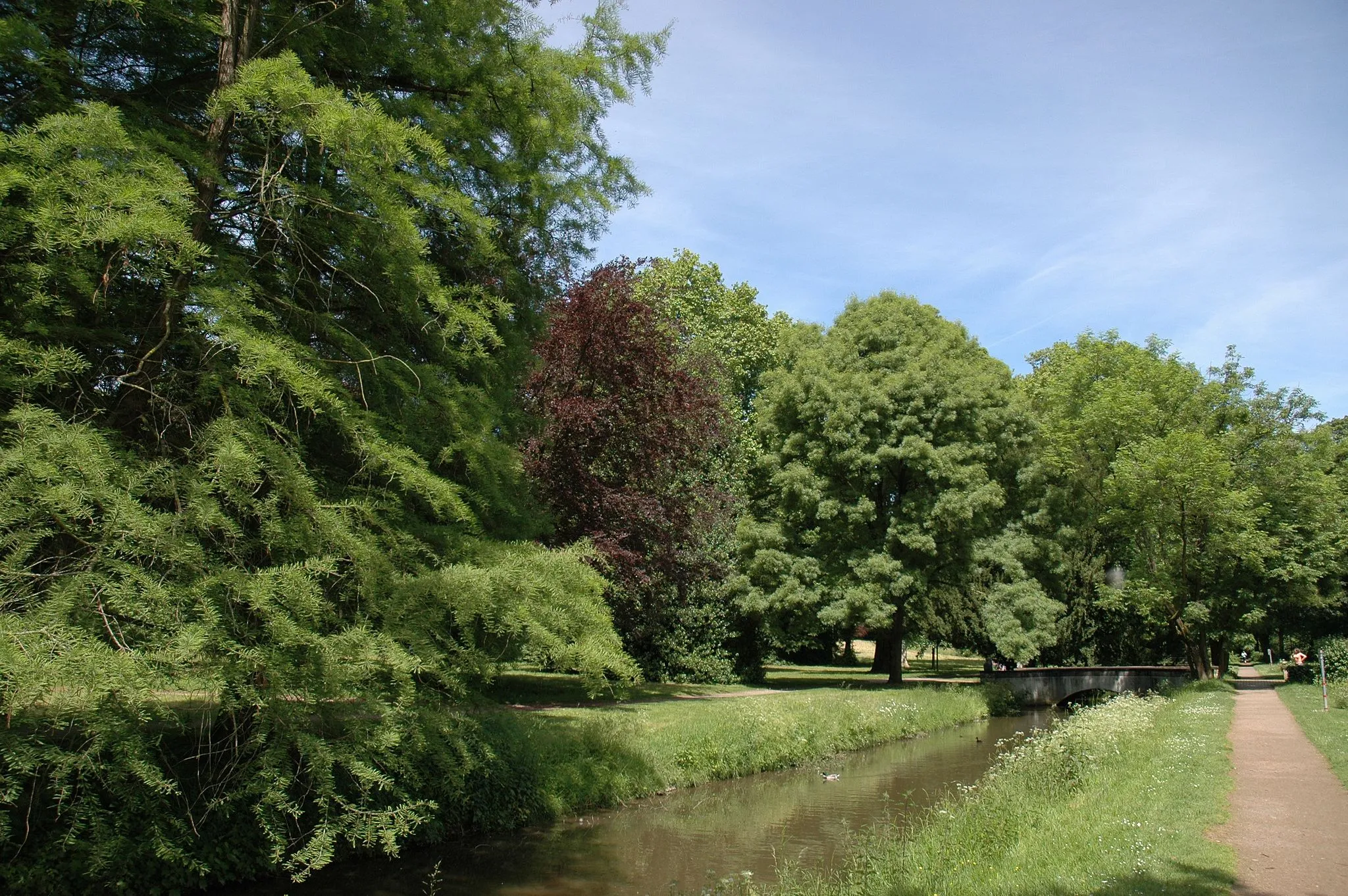 Photo showing: Kalkumer Schlosspark. Der durch Weyhe kanalisierte Schwarzbach im Schlosspark.