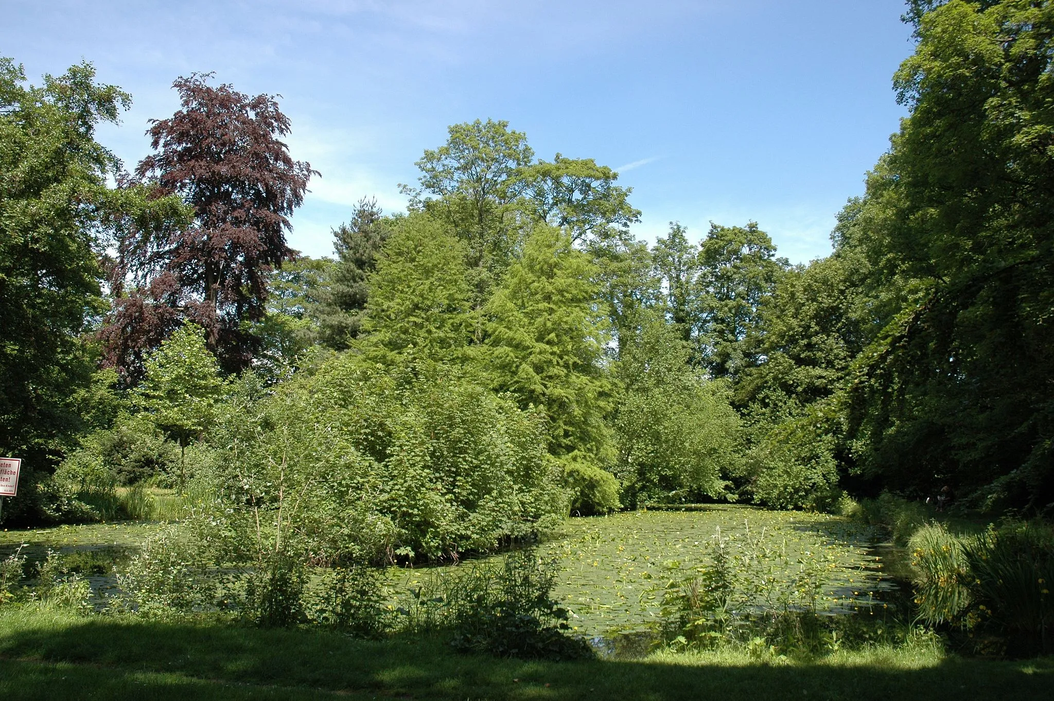 Photo showing: Kalkumer Schlosspark