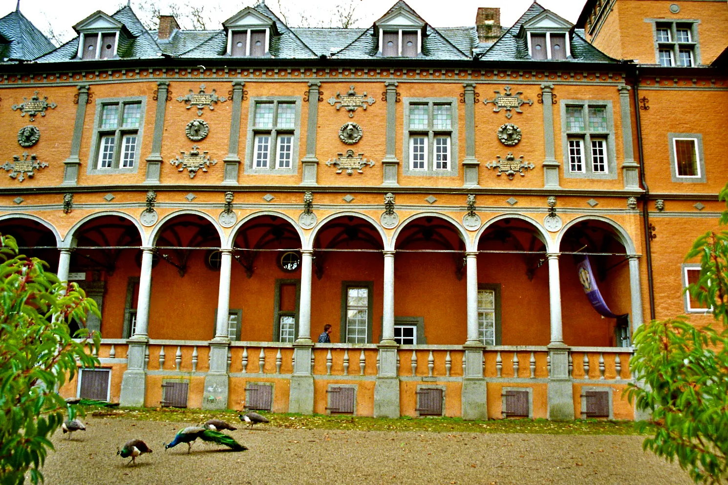 Photo showing: Das Schloss, auch Ritterschloss genannt ist das bedeutendste Baudenkmal der Stadt Mönchengladbachs am Niederrhein. Es liegt im Stadtbezirk  Rheydt. Erstmals erwähnt wurde es 1180 in einer Urkunde des Kölner Erzbischofs Philipp von Heinsberg. Wahrscheinlich ist die heutige Anlage der Nachfolgebau einer Turmhügelburg, einer sogenannten Motte. Grabungsfunde weisen darauf hin. Der nachweislich älteste aus Stein gebaute Bau lässt sich auf Anfang des 14 Jhd. datieren, war etwa 12X12 m in der Grundfläche und hatte im Süden einen Turm. Gerhard II von Rheydt wird 1443 wegen andauernden Raubrittertums mit der Reichsacht belegt und 1464 wird die Anlage durch die Kaufleute aus Lüttich und Köln wegen weiterhin anhaltender Strassenräuberei vollkommen zerstört. 1468 lässt Wilhelm V von Nesselrode die Anlage wieder aufbauen und zwar wesentlich größer als die Vorgängerburg. Die Fassadenlänge ist jetzt fast 46 m lang. Mitte des 16 Jhd wird dann die Burg zu einen repräsentativen Herrenhaus mit Vorburg, Torburg, Wallanlagen, und Bastionen ausgebaut. Aus dieser Zeit stammt auch das Aussehen der Anlage im italienische Renaissance Stil. Heute ist der größte Teil der Anlage für Besucher zugänglich, einschließlich der Wallanlagen und der Kasematten. Außerdem beinhaltet das Schloß ein städtisches Museum mit Sammlungen der Kunst und Kultur aus der Renaissance und des Barocks. Die Aufnahmen wurden am Spätnachmittag des 6.März 2007 bei starken Regen mit einer Nikon F5 gemacht. Johannes Heribert Pohl