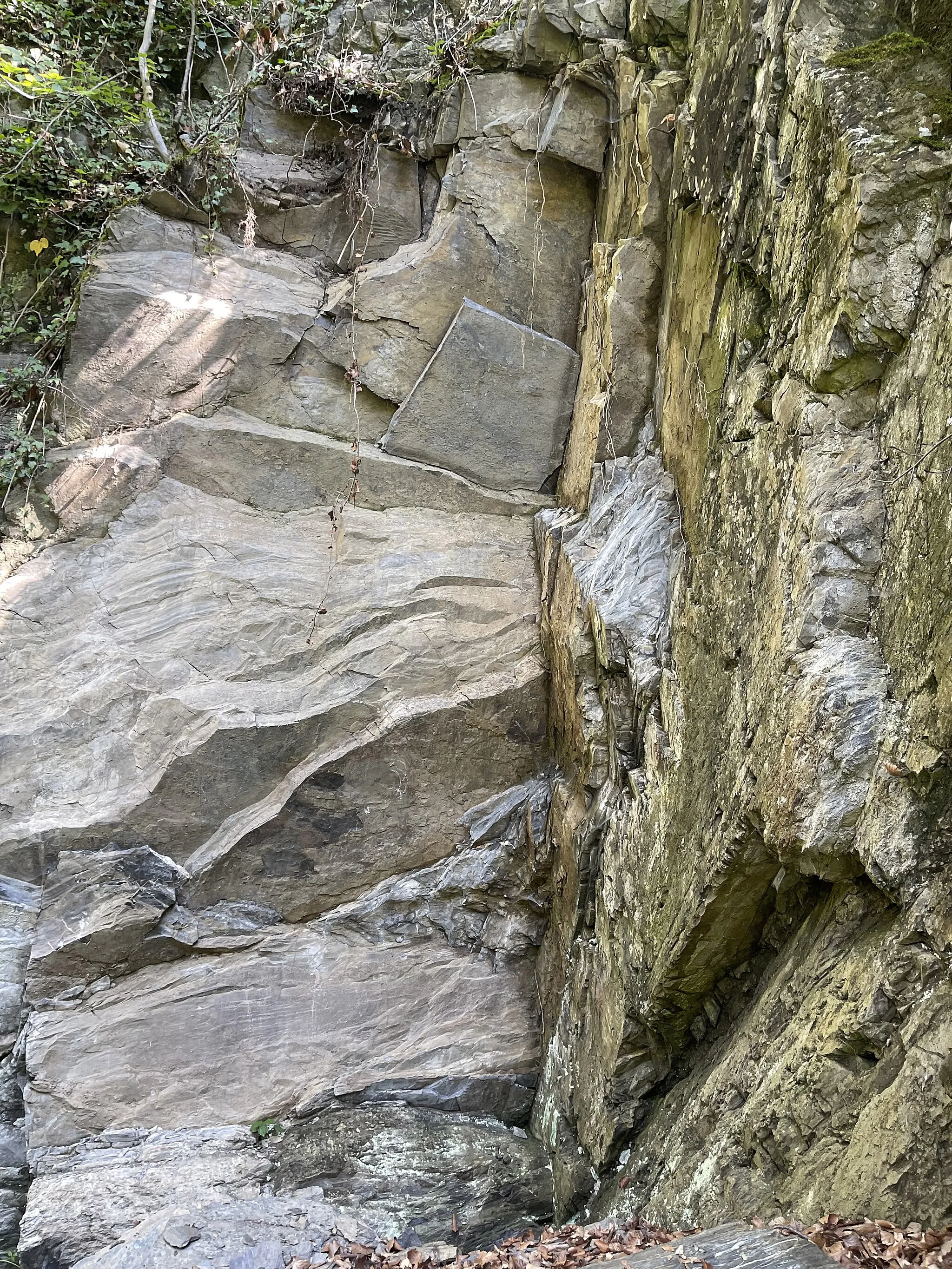 Photo showing: Kalksteinwand  im Neandertal