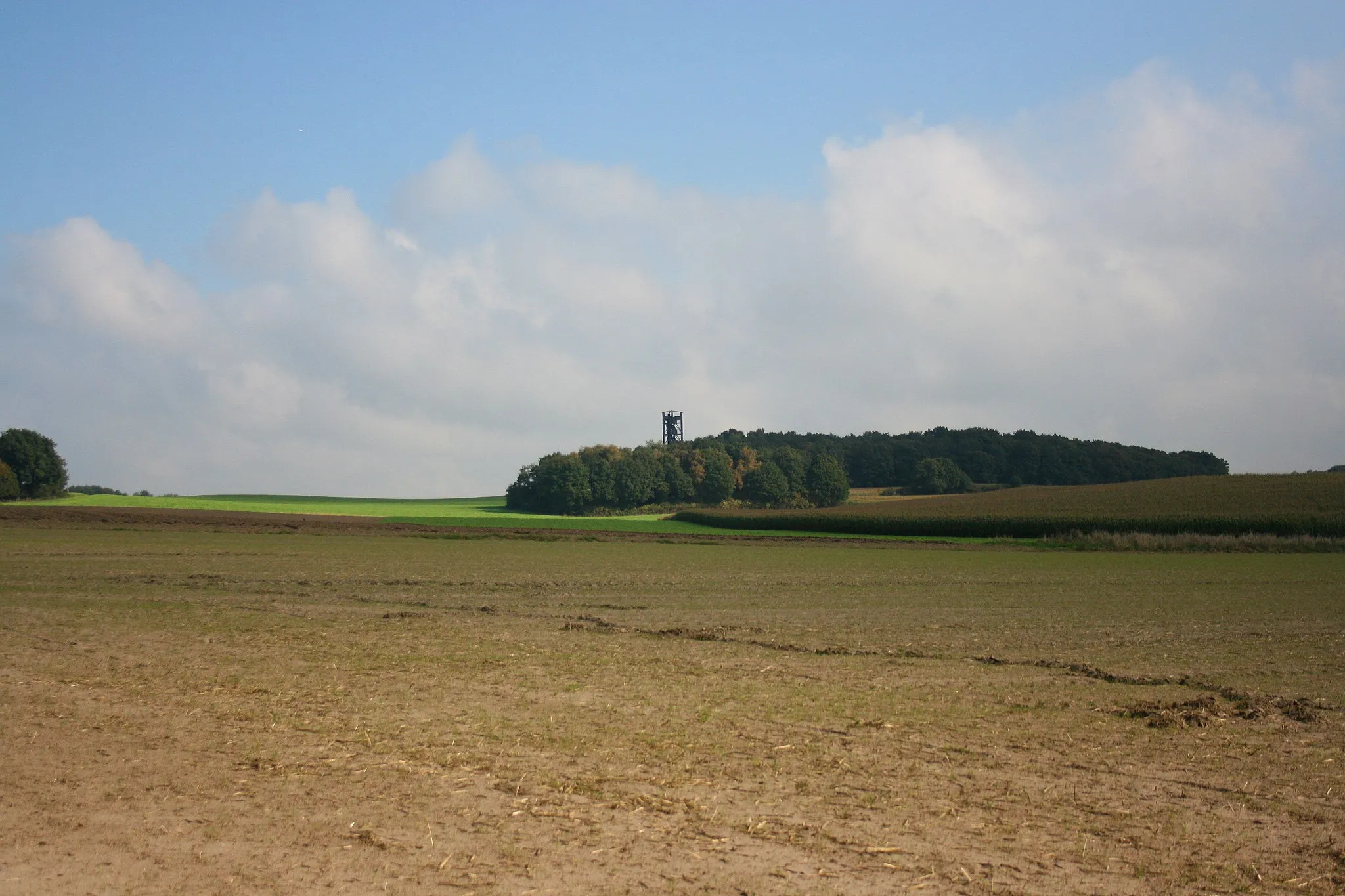 Photo showing: Aussichtsturm am Dursberg in Sonsbeck