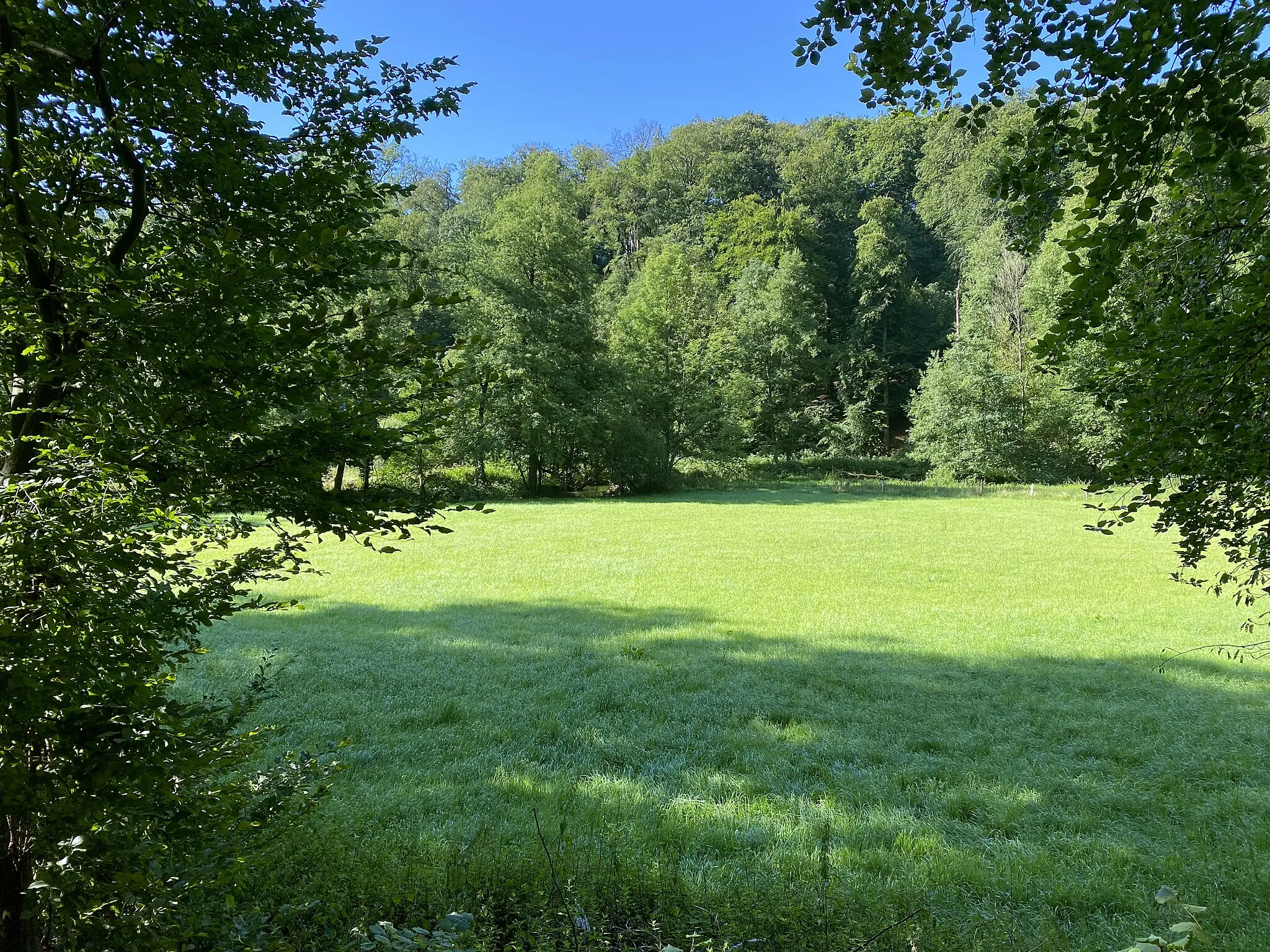 Photo showing: Düsselaue im Naturschutzgebiet Neandertal