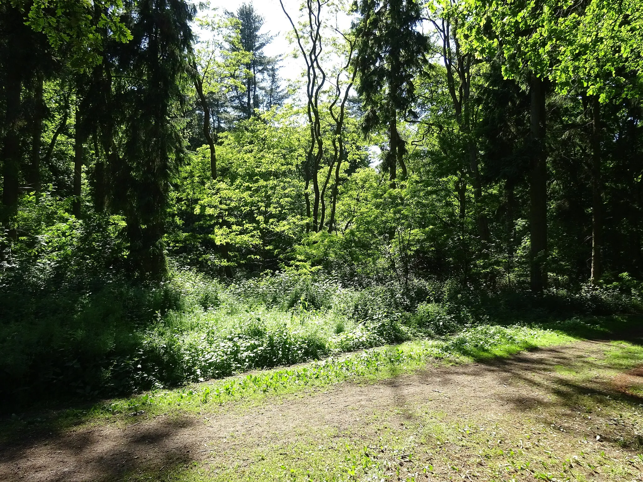 Photo showing: Wandelgebied Eltenberg