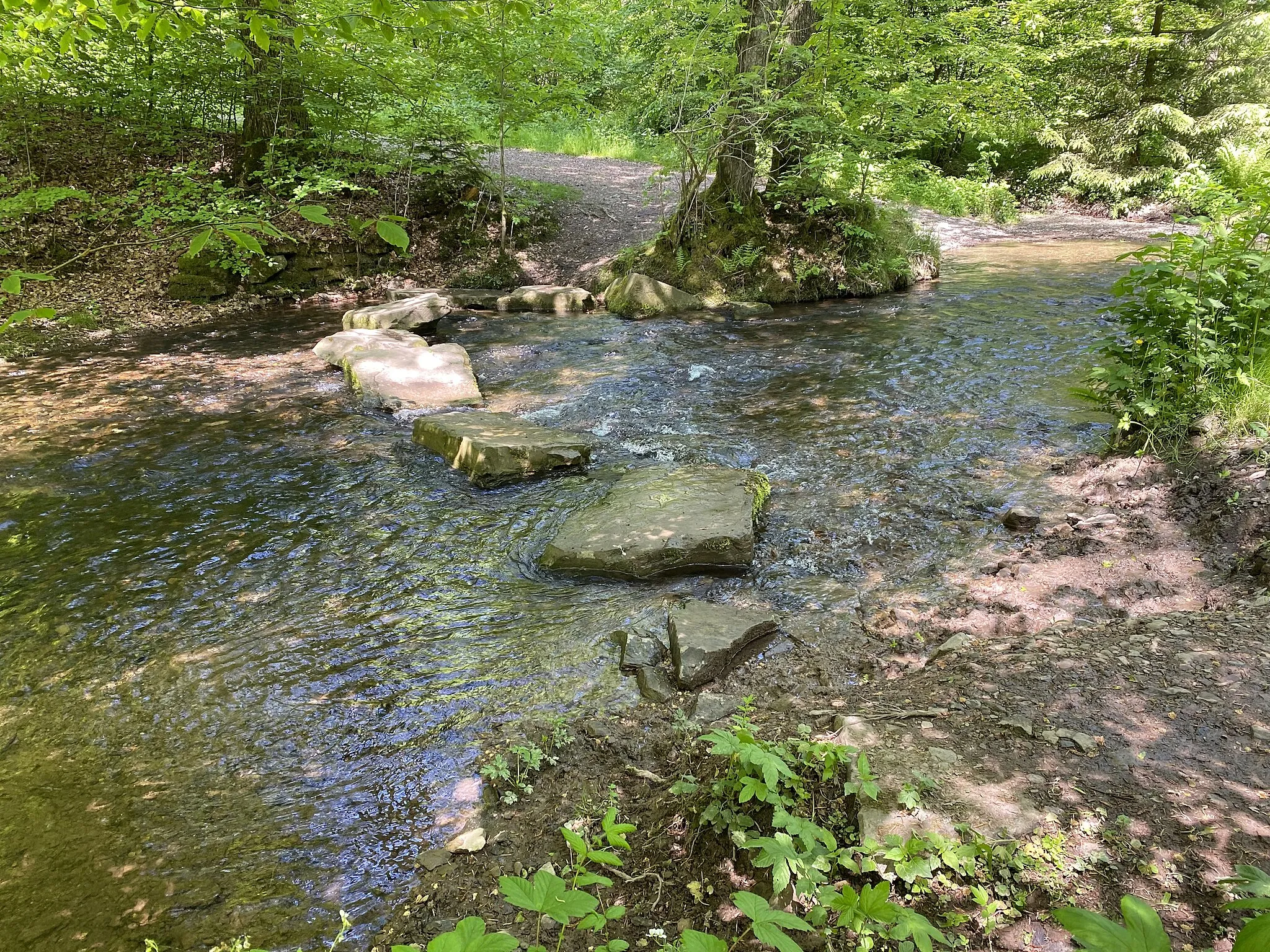 Photo showing: Furt durch den Herbringhauser Bach im Naturschutzgebiet Herbringhauser Bachtal