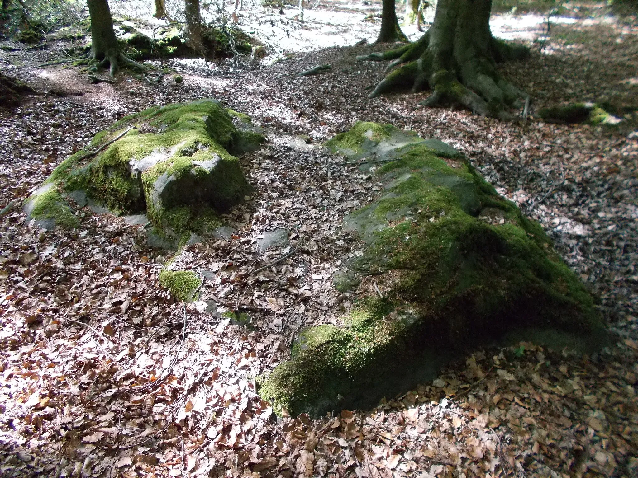Photo showing: Naturdenkmal Teufelssteine am Teufelssteinweg im Hünxer Wald. ND 27, großer Teufelsstein mit Mulde. Maße: 360 x 210 x 80 cm.