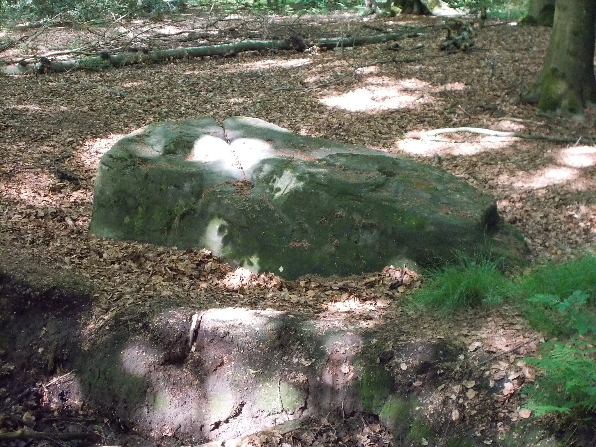 Photo showing: Naturdenkmal Teufelssteine am Teufelssteinweg im Hünxer Wald. ND 27. Großer Teufelsstein mit 15 Bohrlöchern auf der Oberseite. Maße: 410 x 350 x 50 cm.