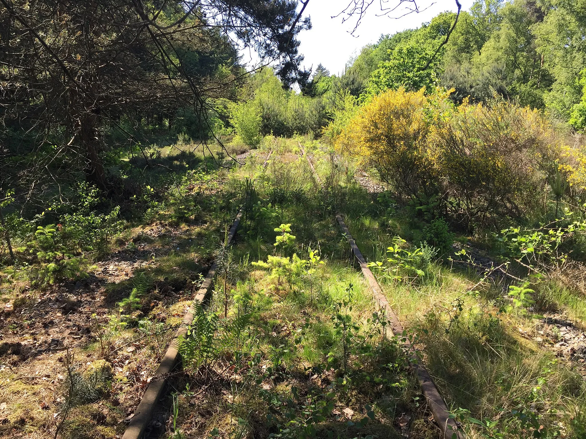 Photo showing: IJzeren rijn railway near Vlodrop (Netherlands 2017)