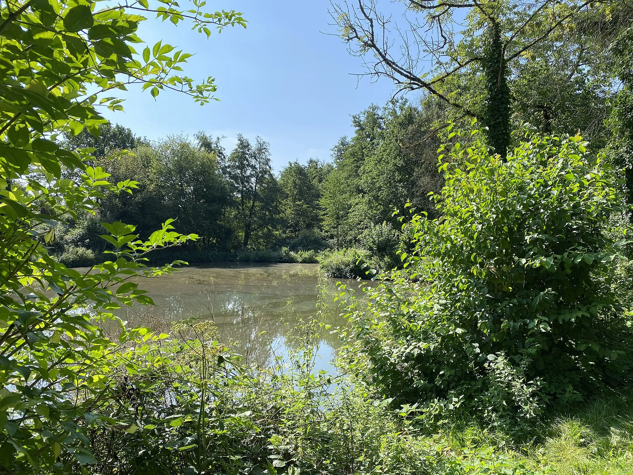 Photo showing: Teich bei Ellershof im Naturschutzgebiet Laubachtal