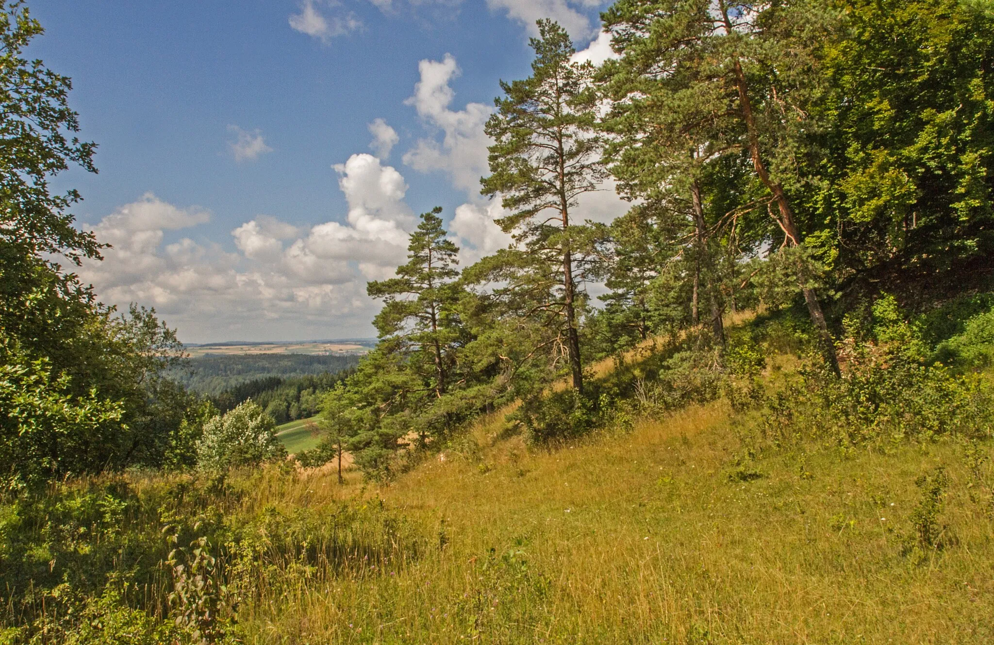 Photo showing: Das Naturschutzgebiet hat eine Größe von rund 11,2 ha und erfaßt einen Teilbereich des westlich der Ortschaft Riedböhringen gelegenen Zeugenbergs »Billibuck«.