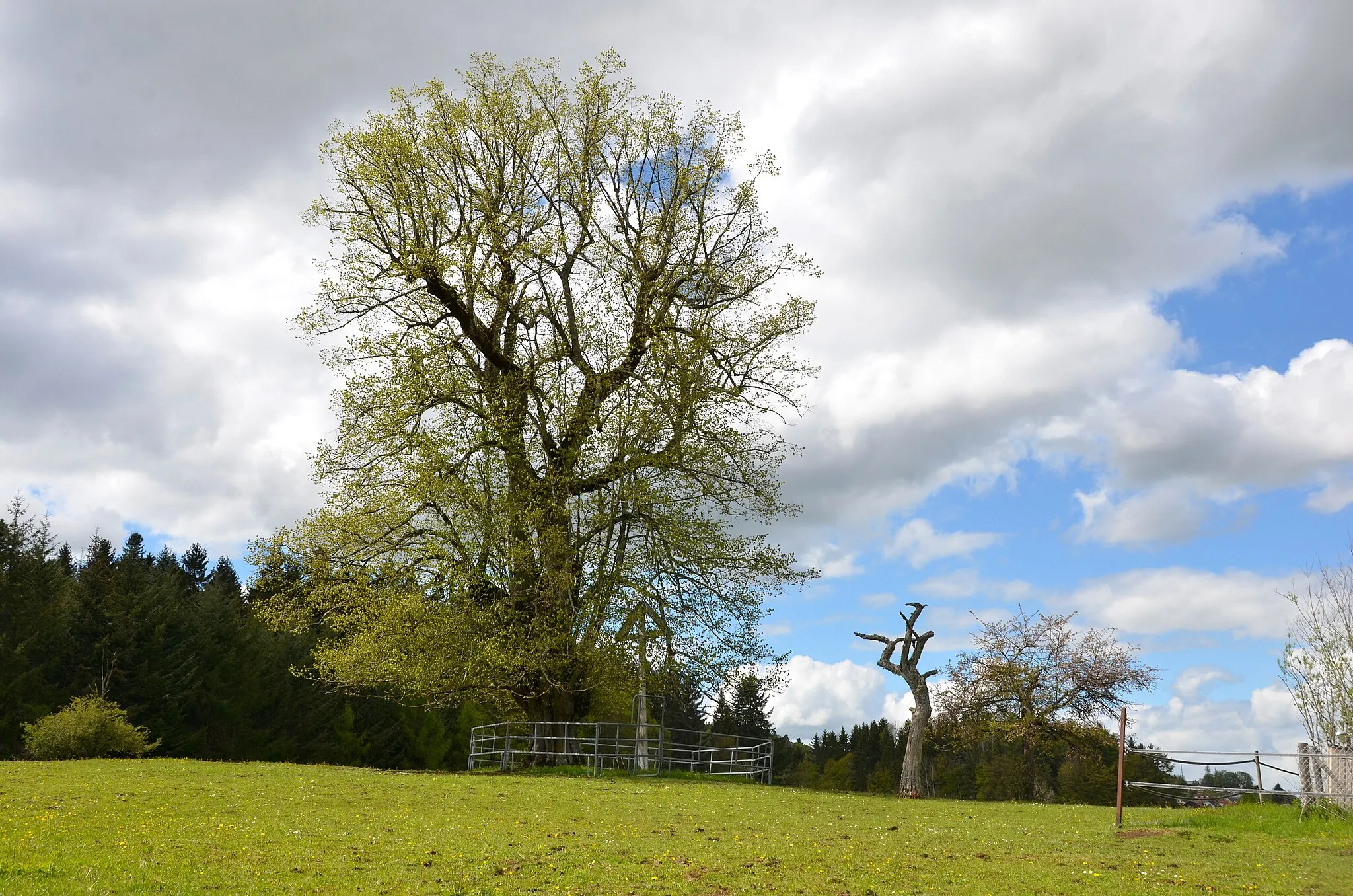 Photo showing: This is a picture of the protected area listed at WDPA under the ID