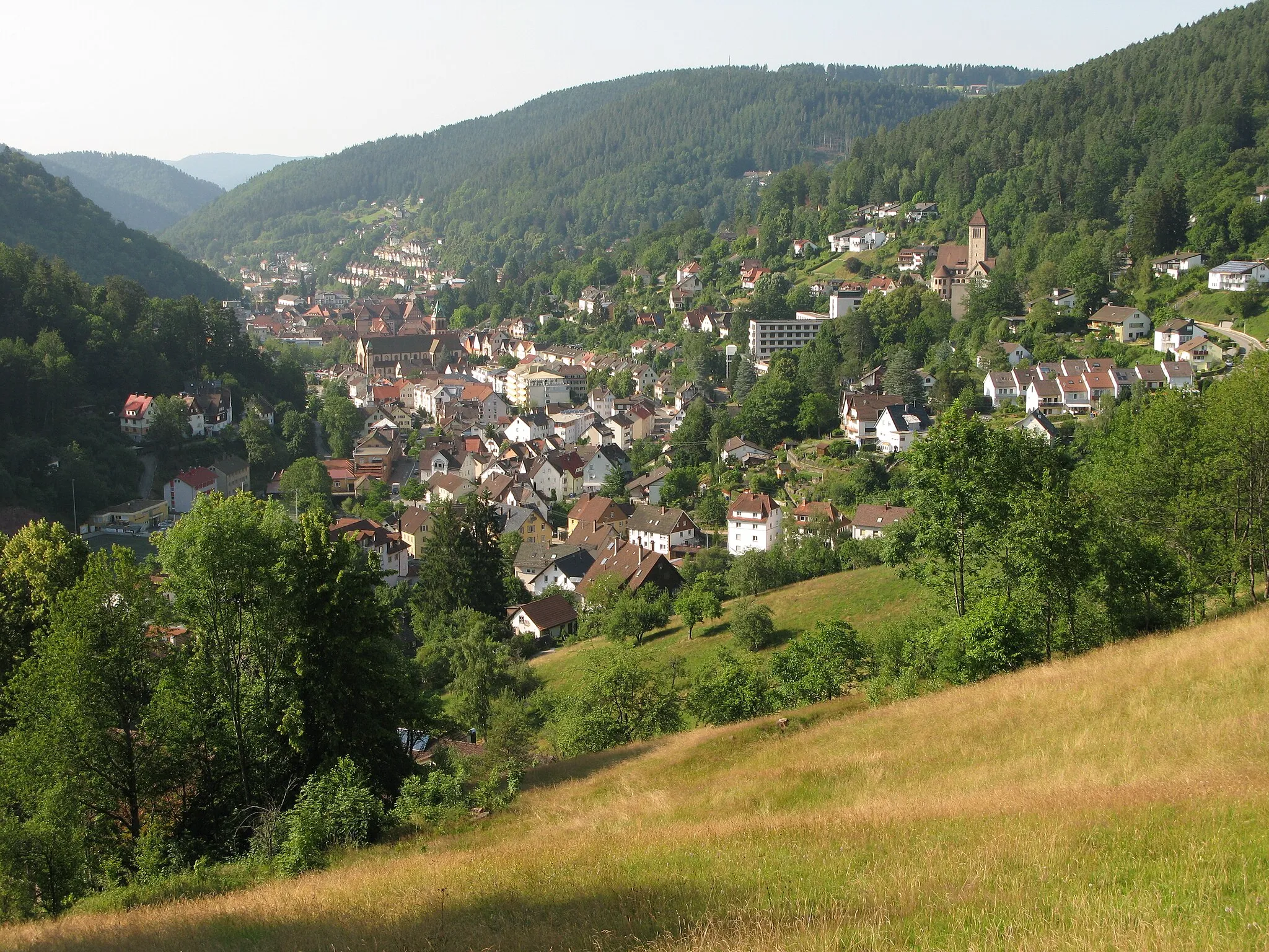 Photo showing: Blick nach Schramberg, südlich gesehen vom Ostweg im Schwarzwald.