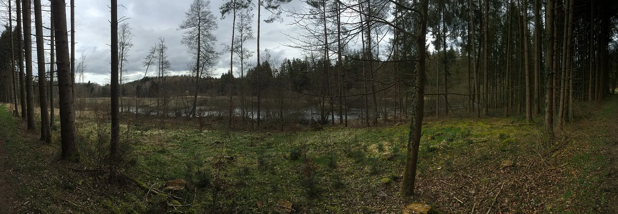 Photo showing: Naturschutzgebiet Bündtlisried bei Allensbach