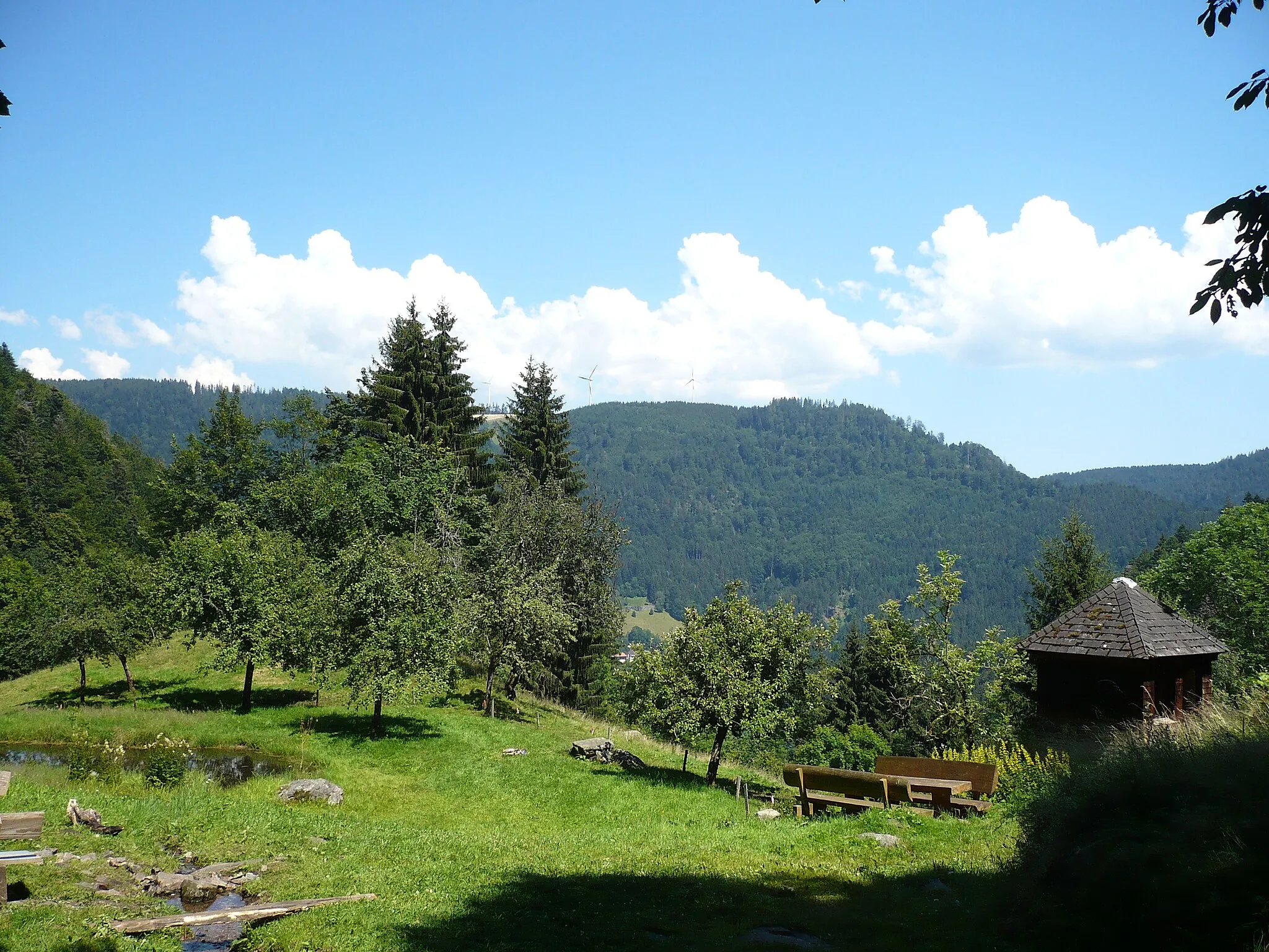 Photo showing: Der Grillplatz an den Zweribachwasserfällen