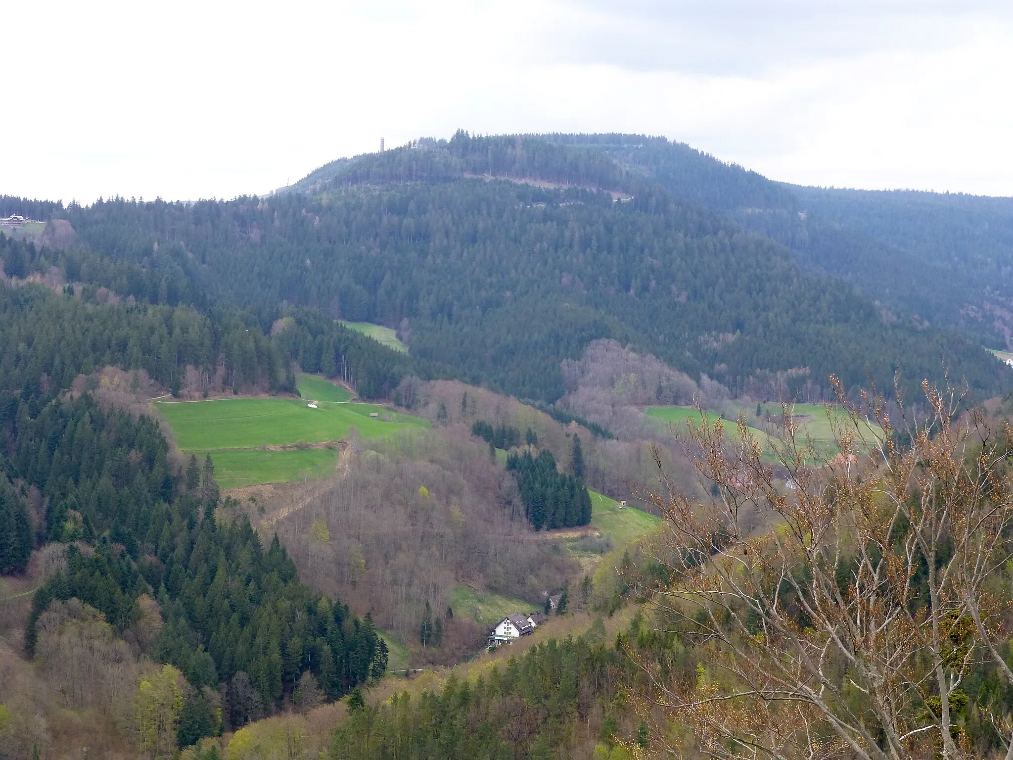 Photo showing: Blick vom Habererturm nach Norden zum Brandkopf und Buch; mittig links der Buchkopfturm Oppenau
